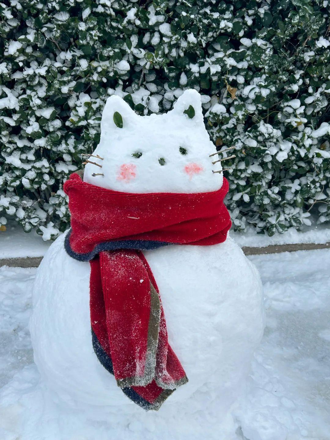 这里有雪地嬉戏的欢声笑语看 这里有别出心裁的各类雪人大雪过后众多