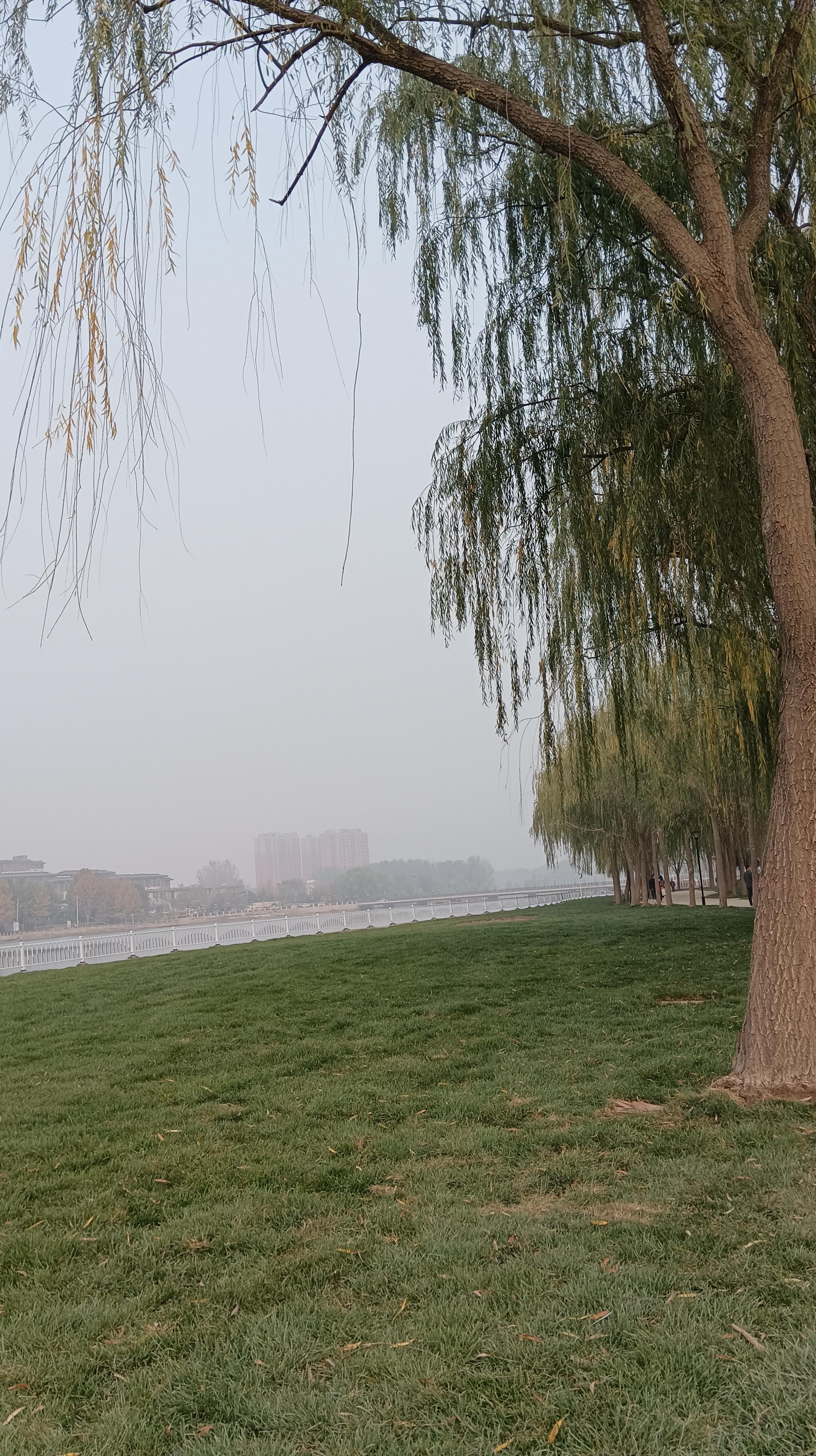 小蛮兔 的想法: 涿州永济公园半日游 | 98放假去的地方:涿州永济