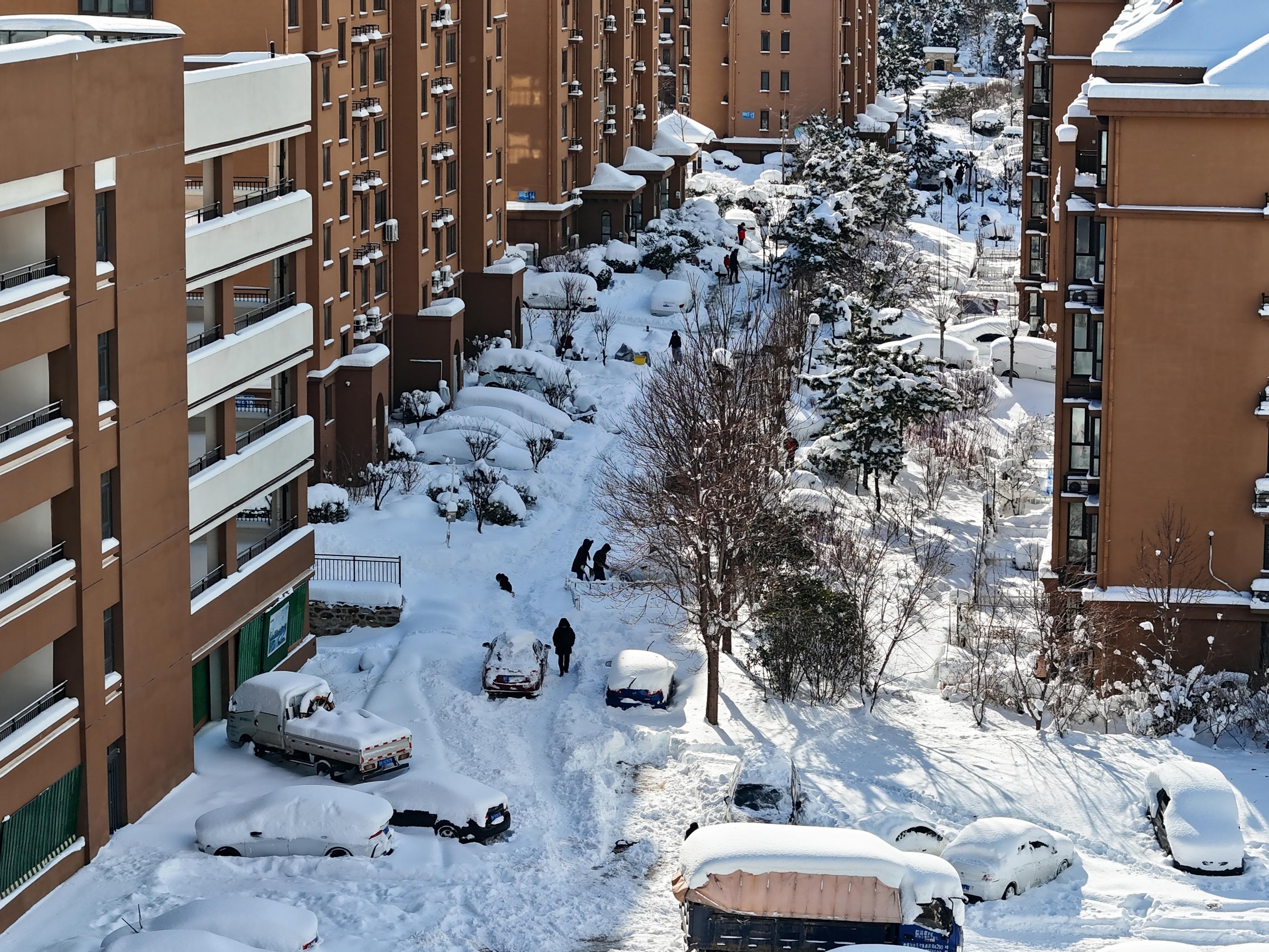 威海大雪图片