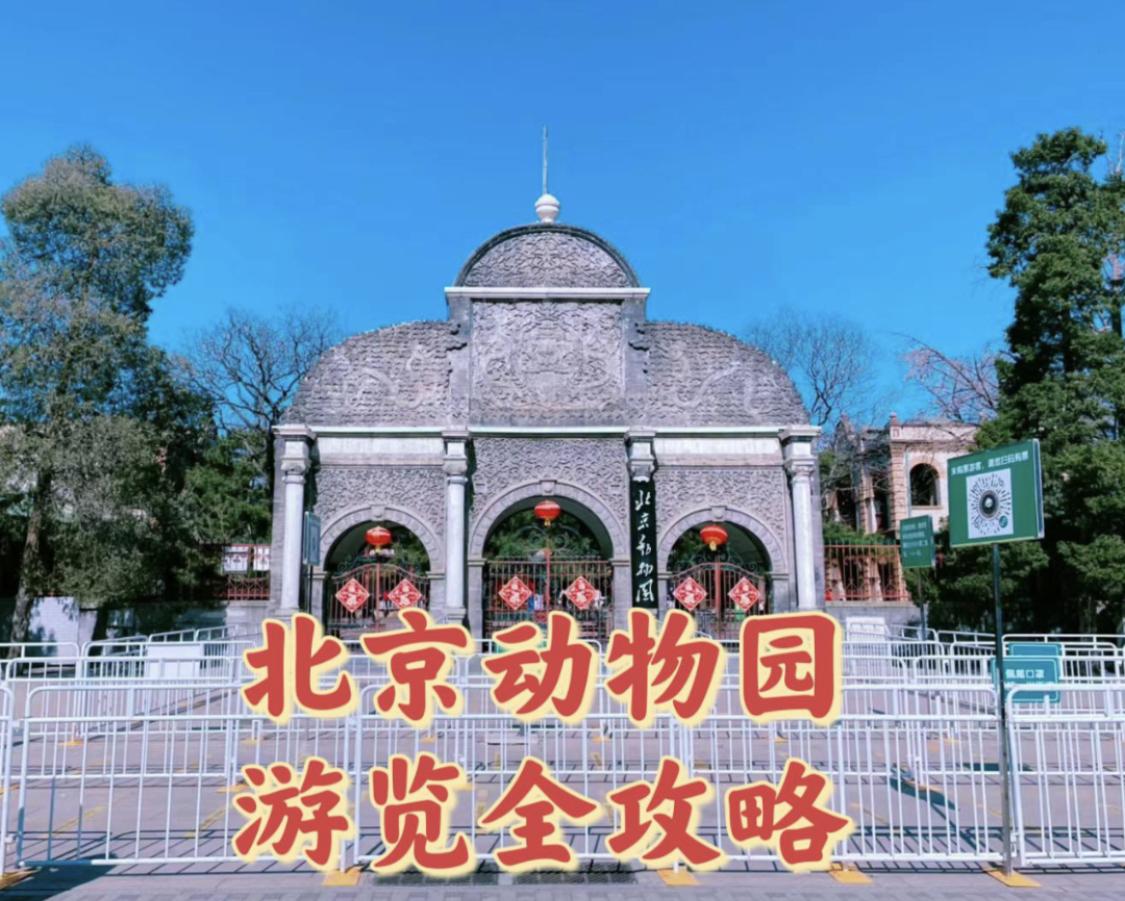 弦歌缓缓 的想法: 北京动物园·超详细游览全攻略～ | 北京动物园是我
