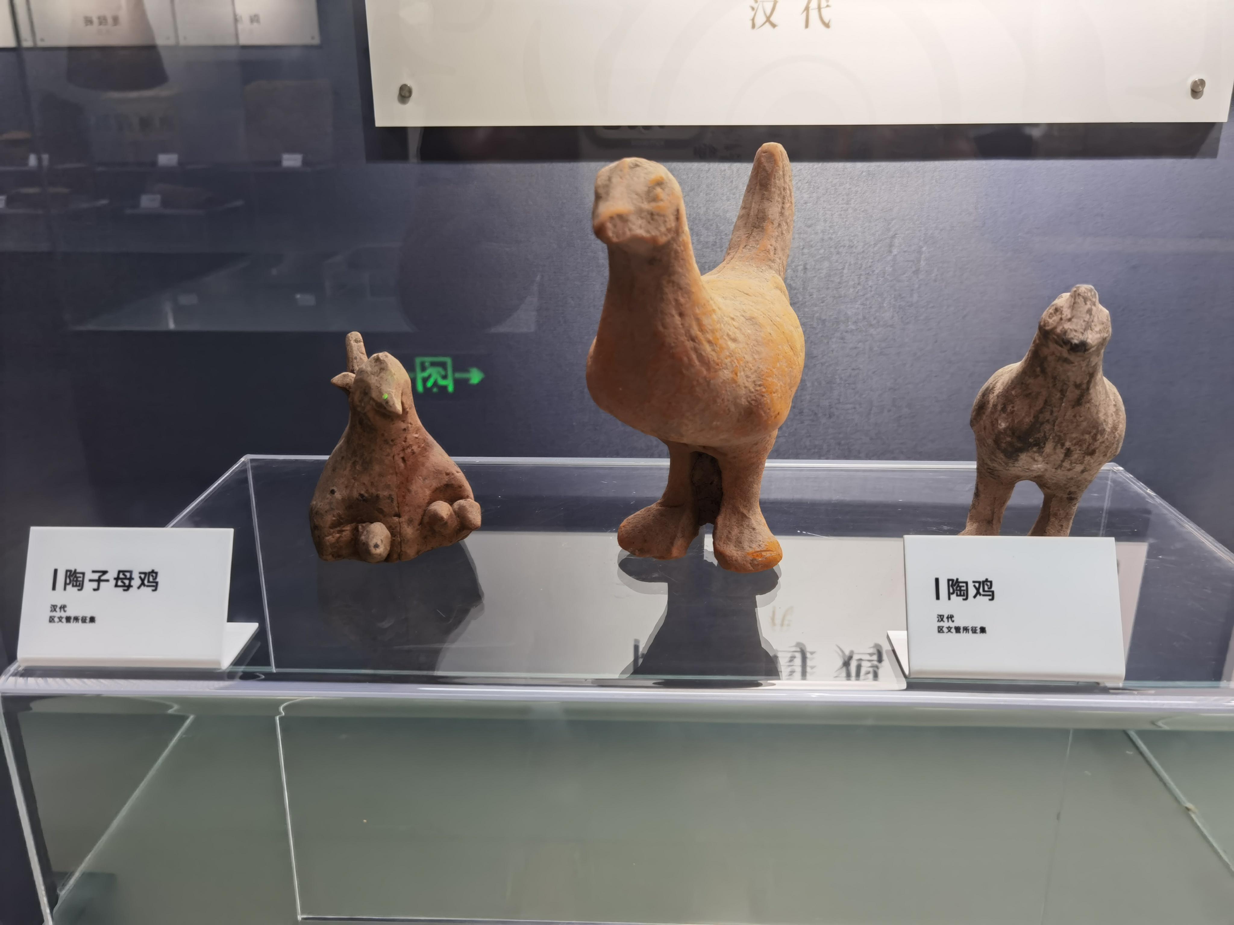 朱雀之南 的想法: 温江区博物馆