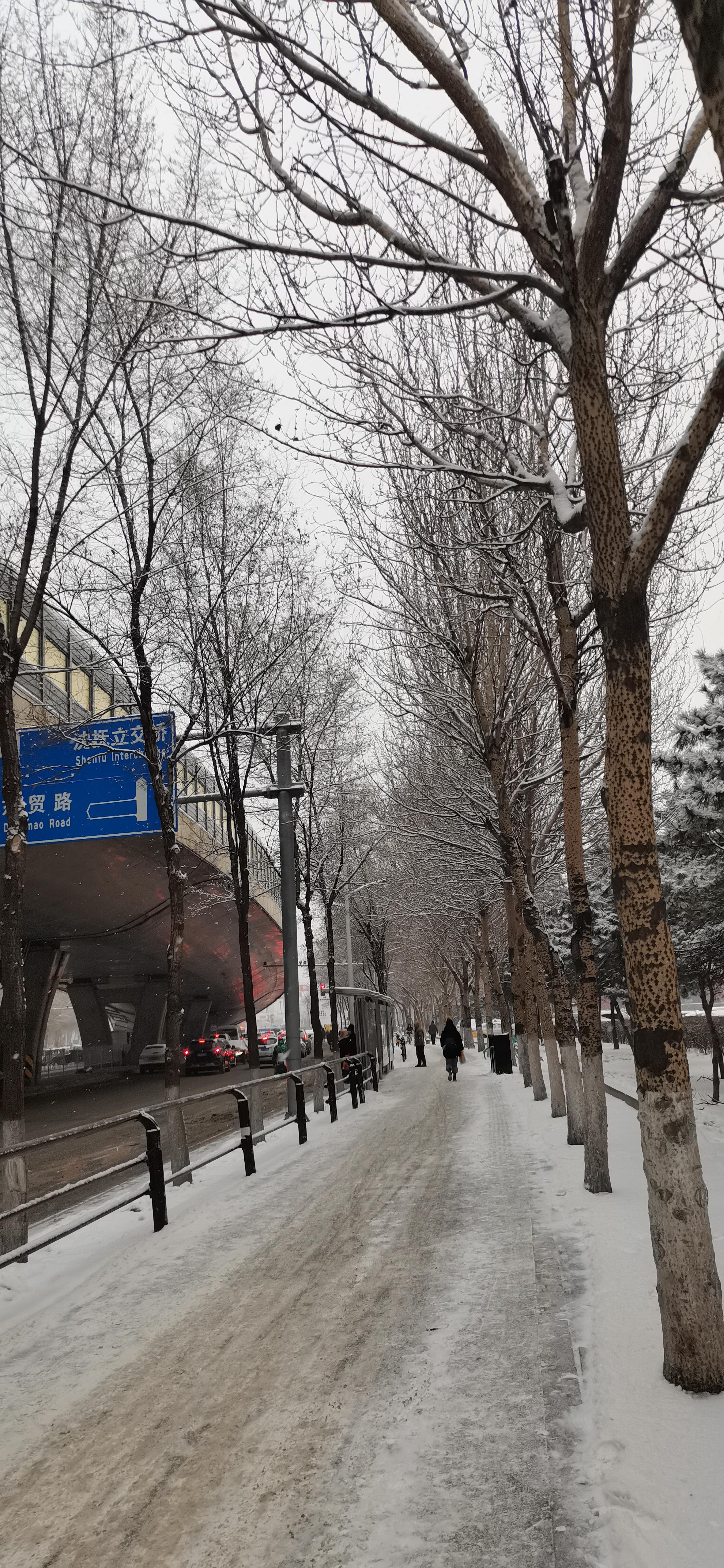 真实城市雪景图片图片