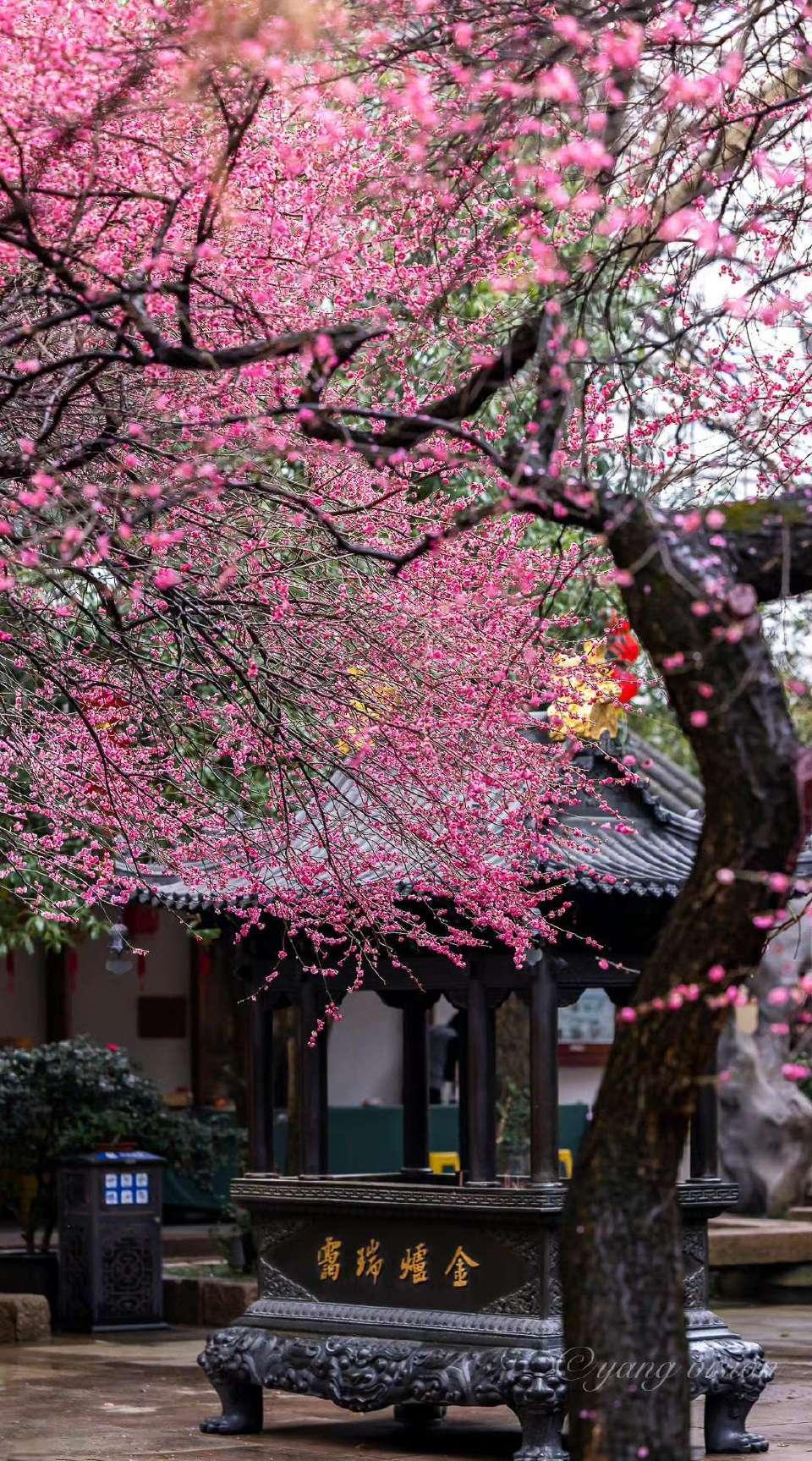 精神食粮批发商 的想法: 西湖边上,月老祠前,悬挂着一副对联: br> br>