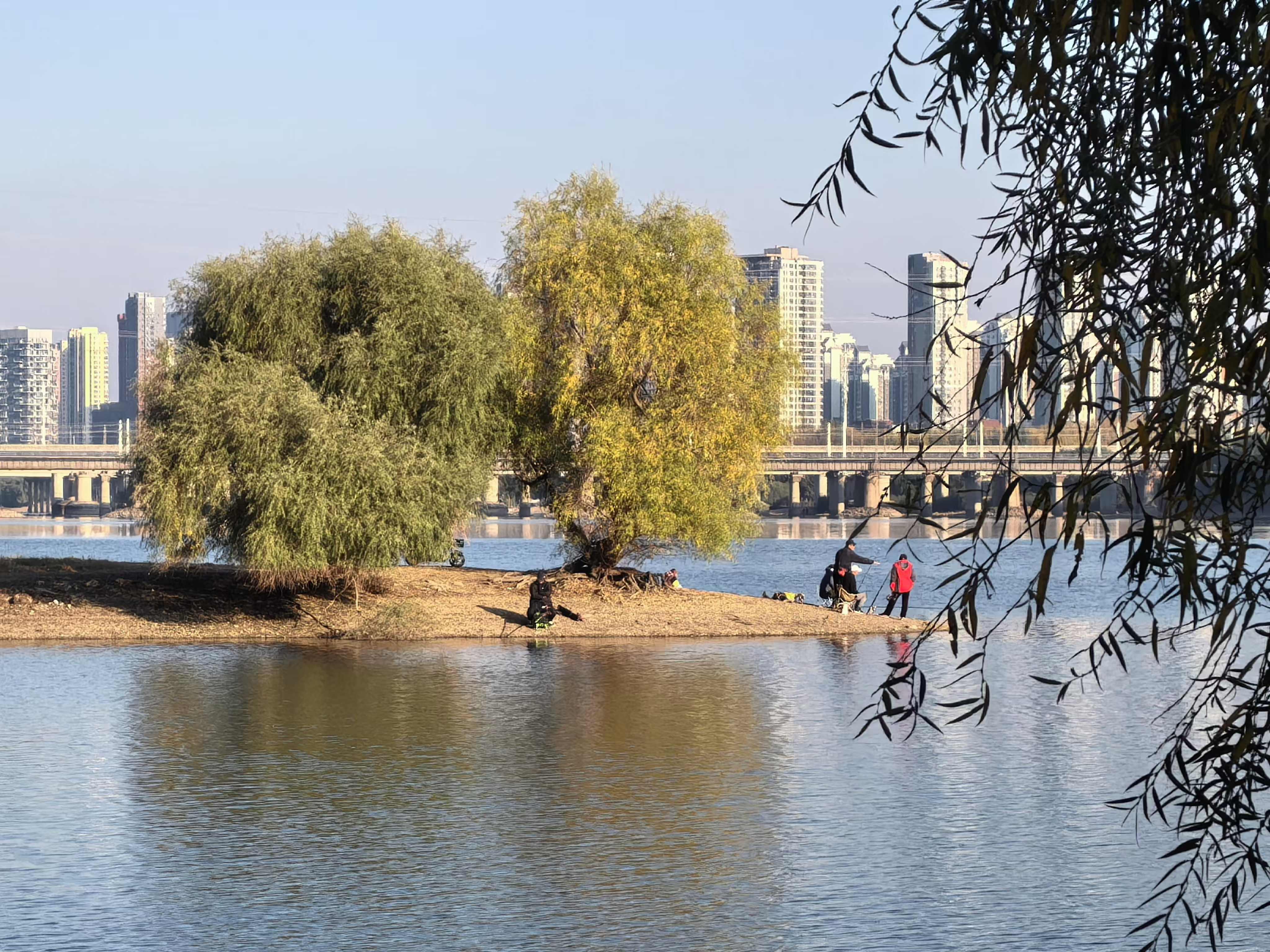 桦岩 的想法: 深秋的浑河沈阳段