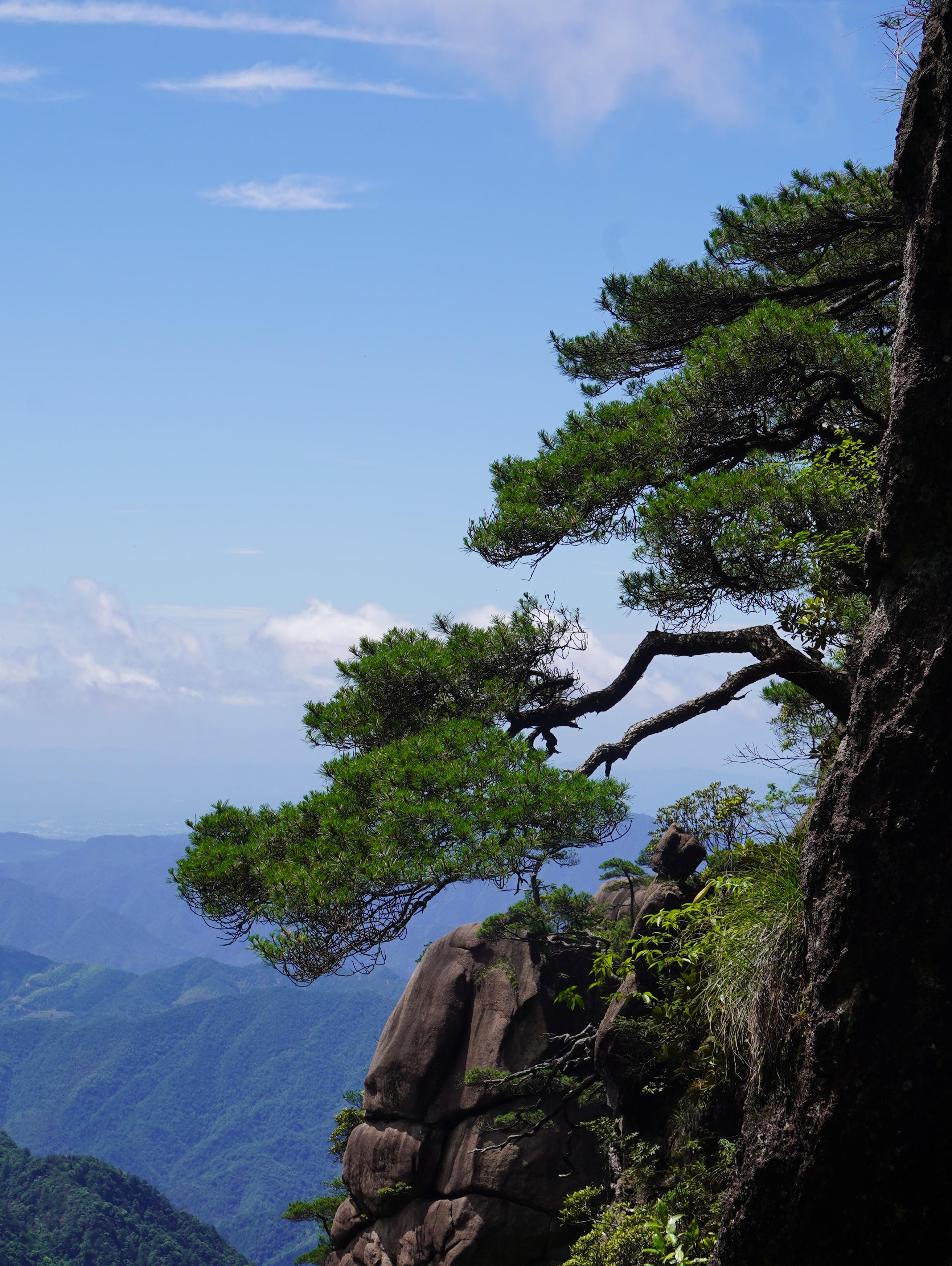 星河在宇 的想法: 三清山风景 