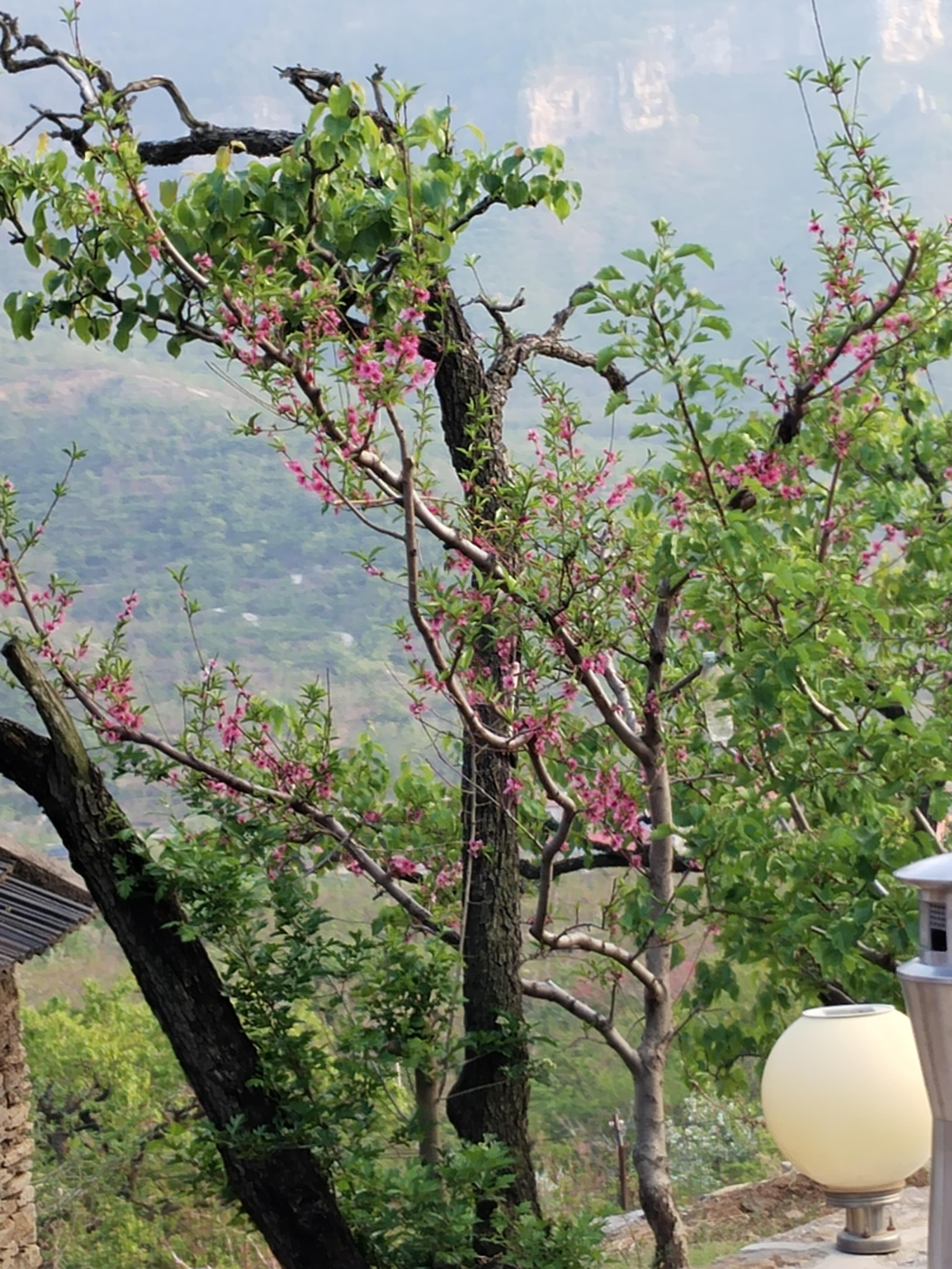 春天就要走了啊!读书爱好者​老胡登录