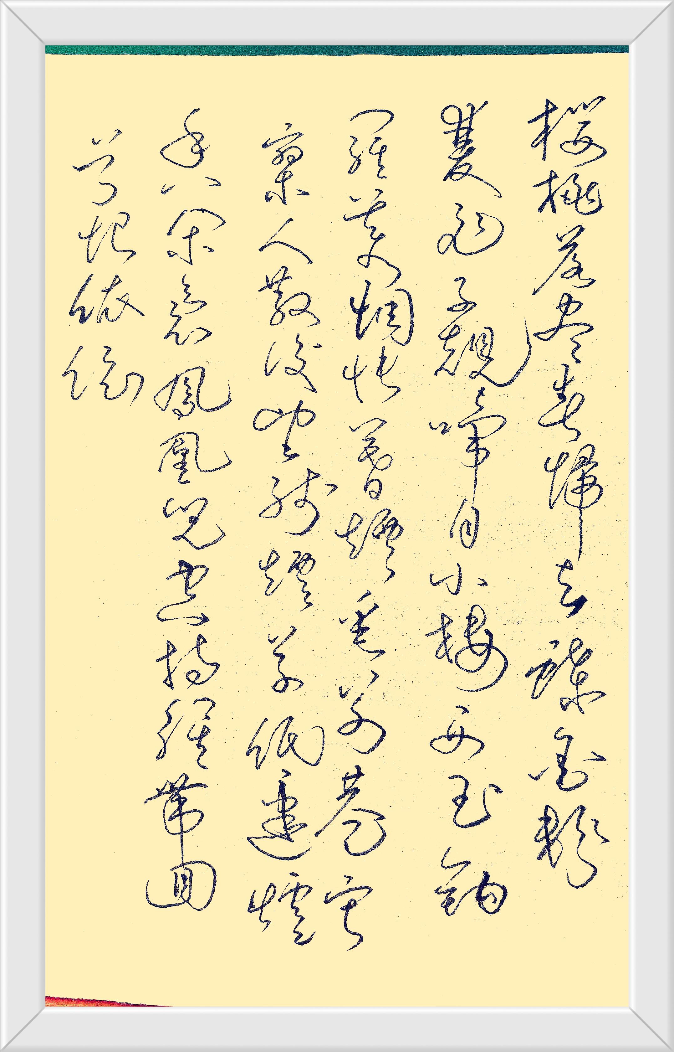 退休华克 的想法 老汉硬笔练草书