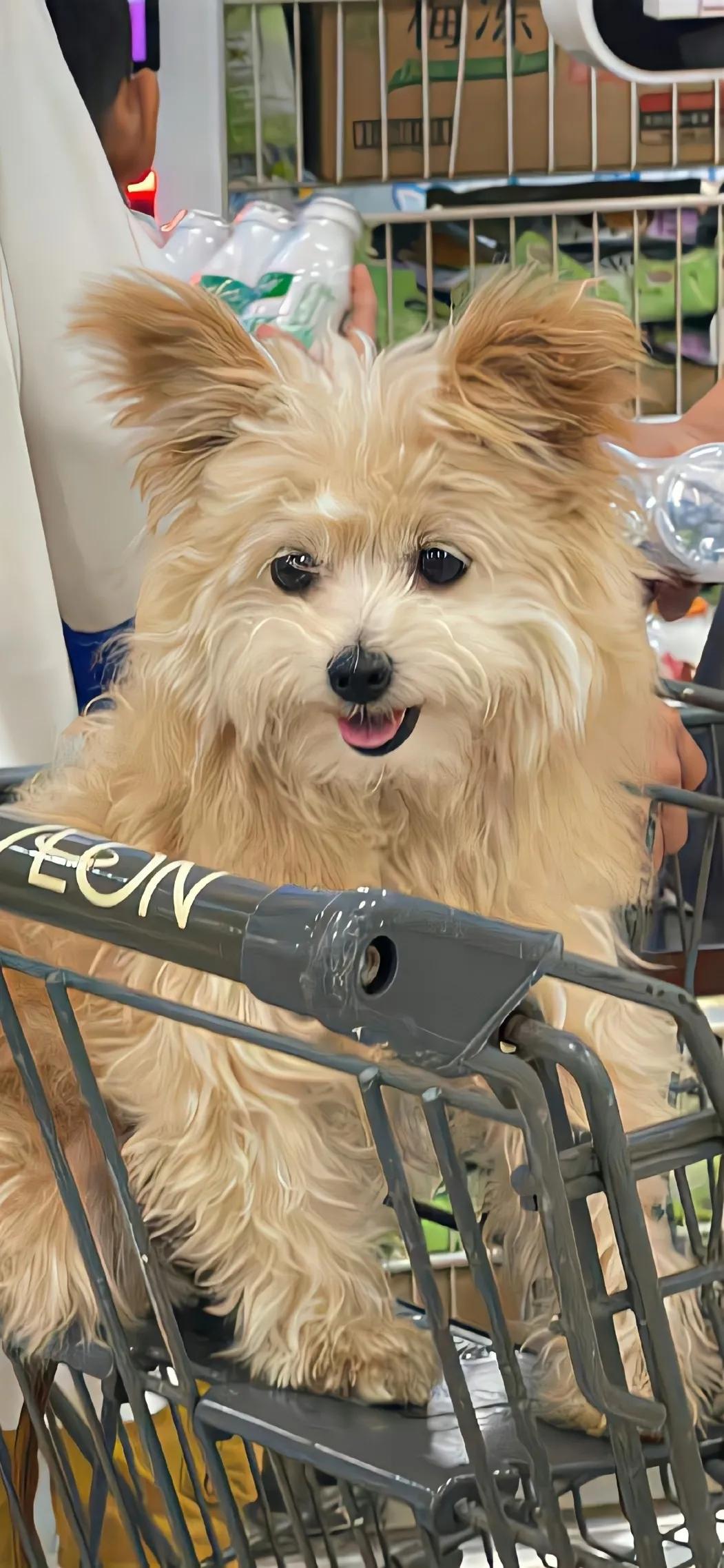 99 舍不得删的照片:喵星人与汪星人 br>7815 原因:因为自己