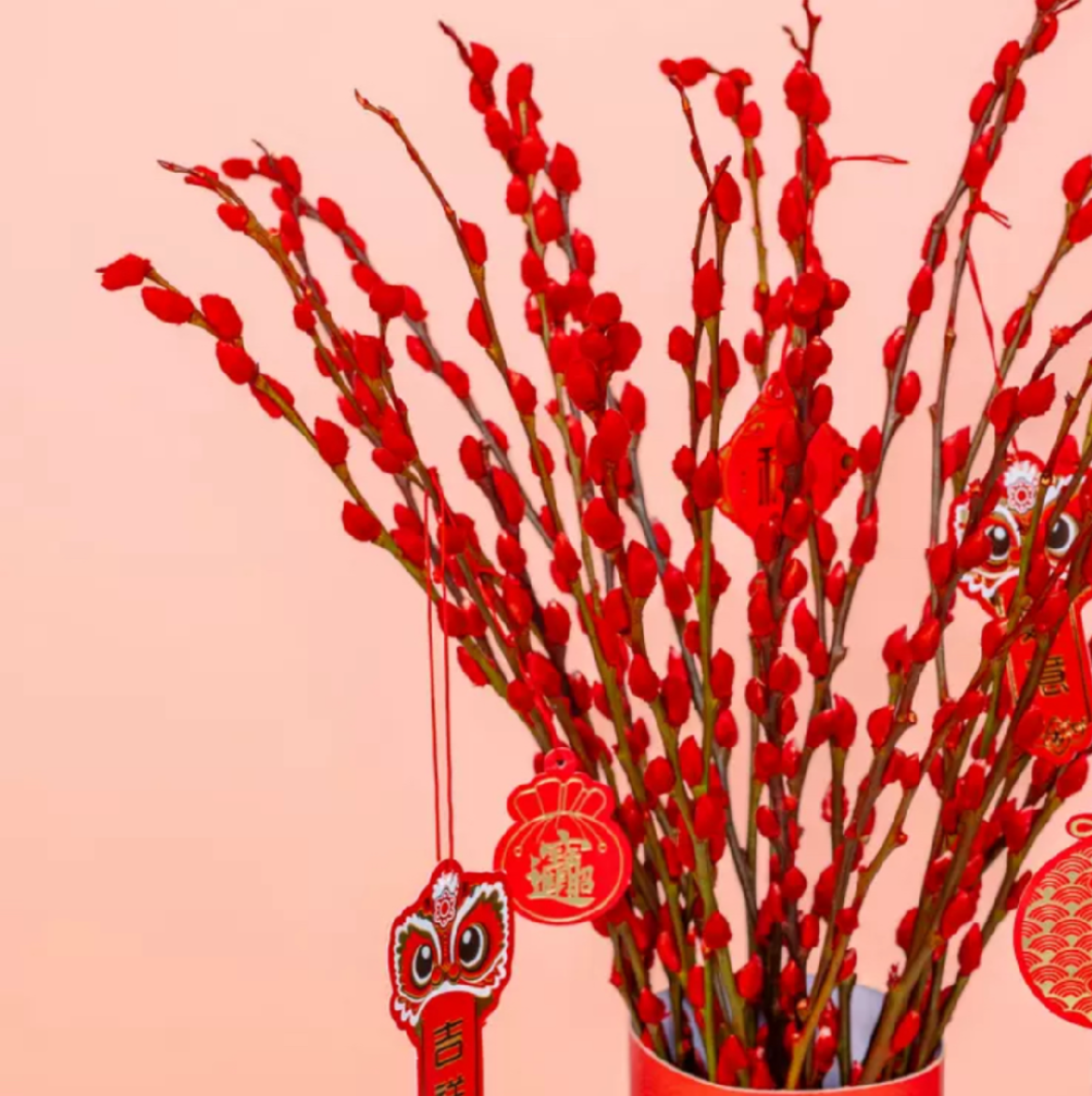 芊千子 的想法: 招财进宝,增进财富的红色银柳 | 红色银柳龙年礼盒 br