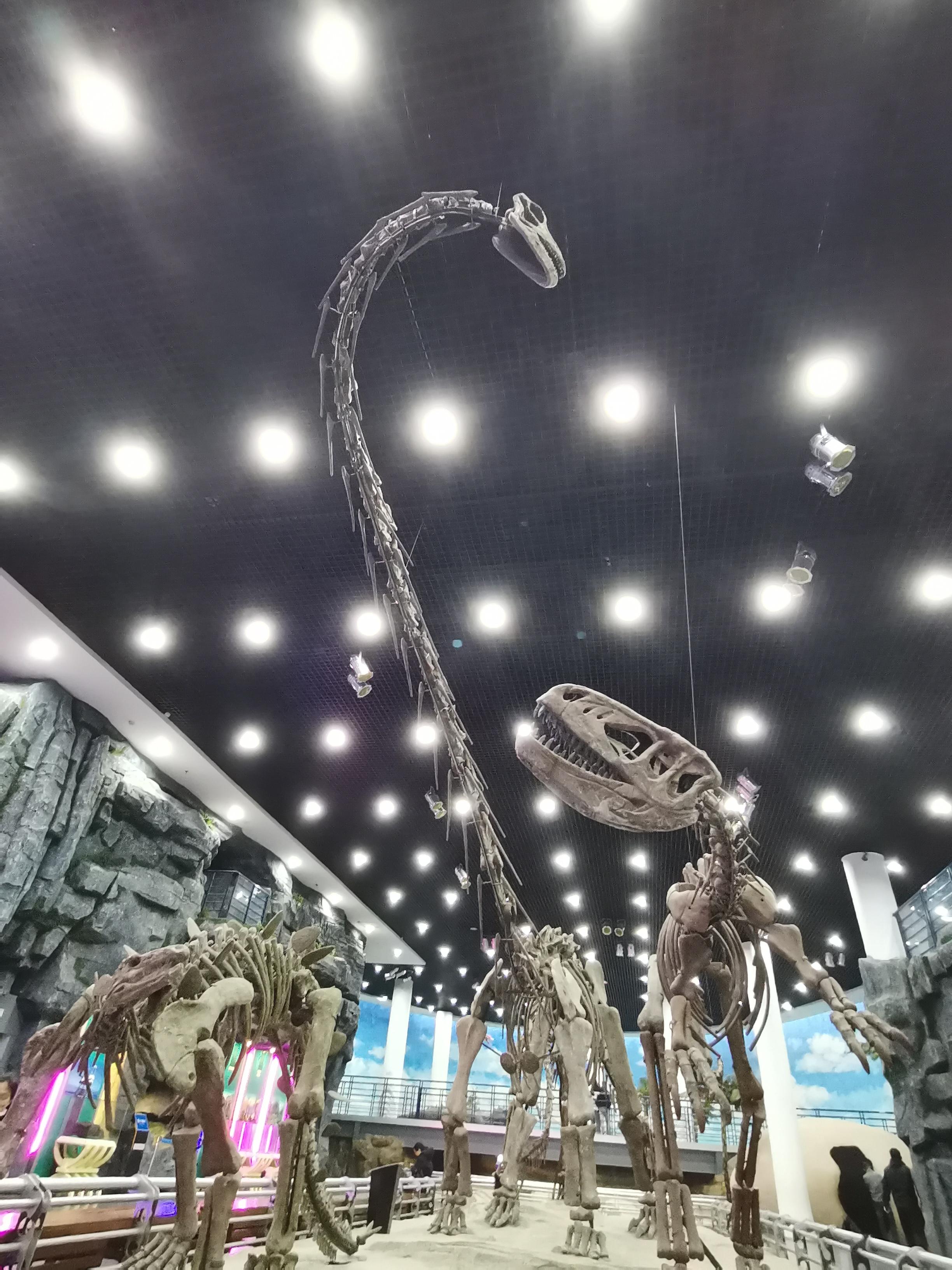 前行 的想法: 脖子长累不累