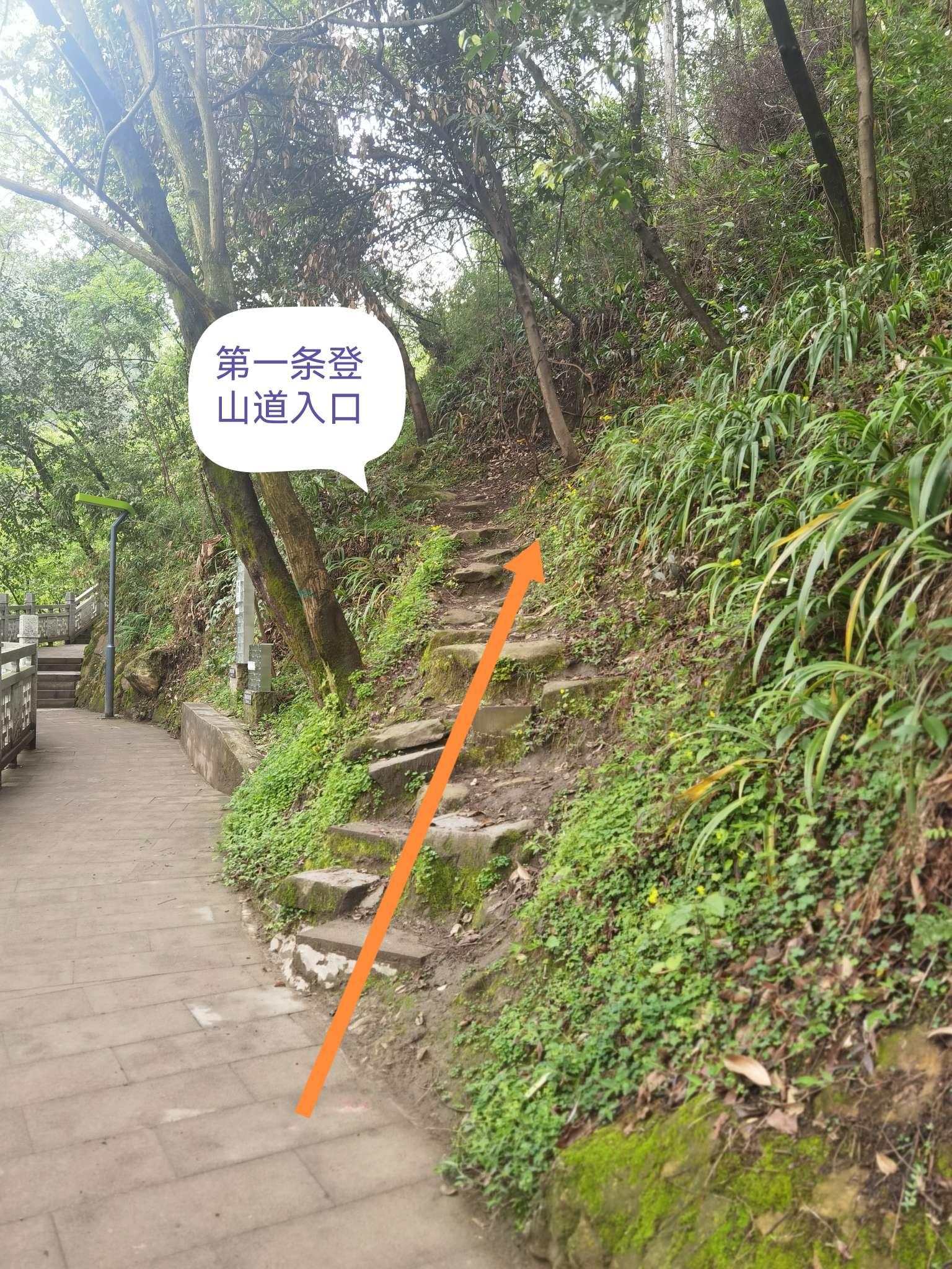 none 的想法: 重庆南山——清水溪步道上的野性徒步路线 