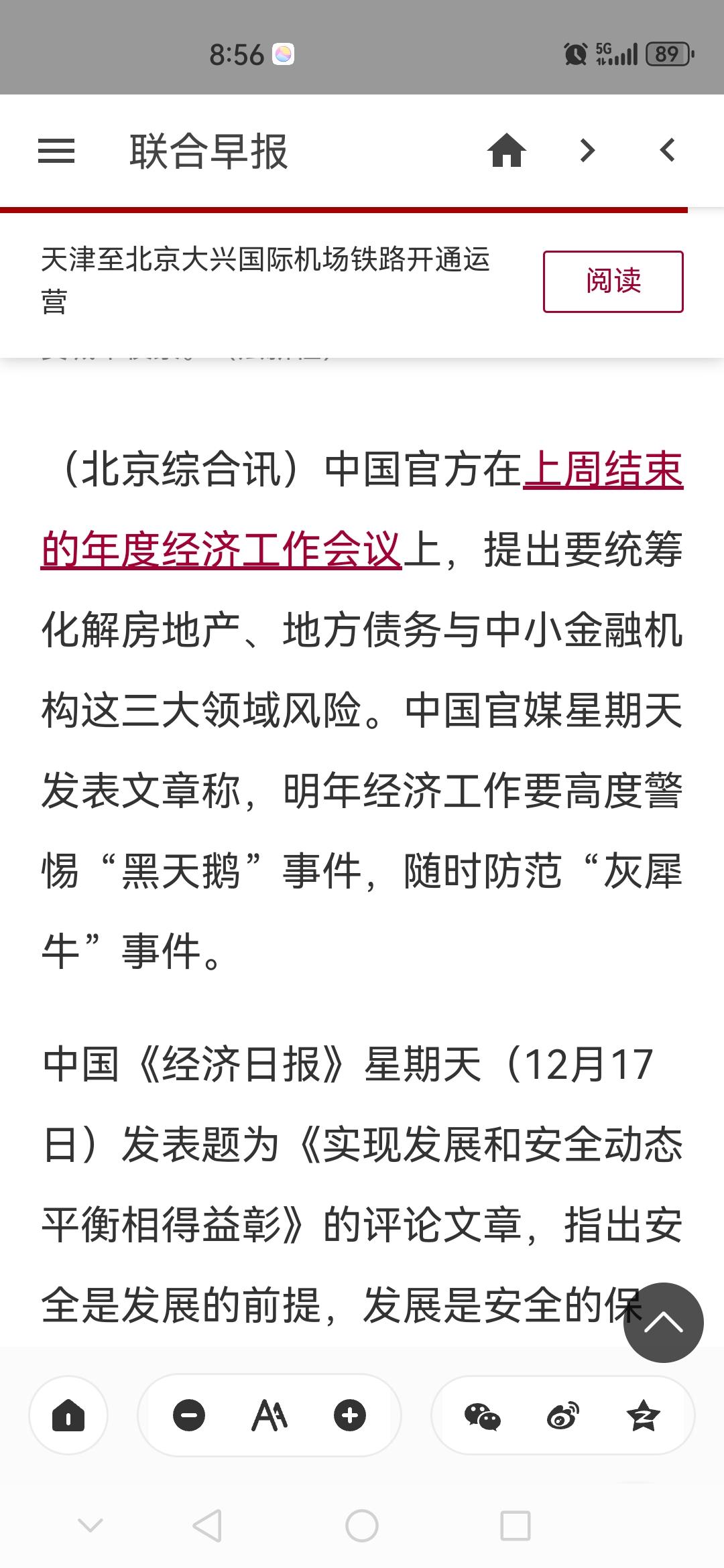 中國官媒星期天發表文章稱明年經濟工作要高度警惕黑天鵝事件隨時防範