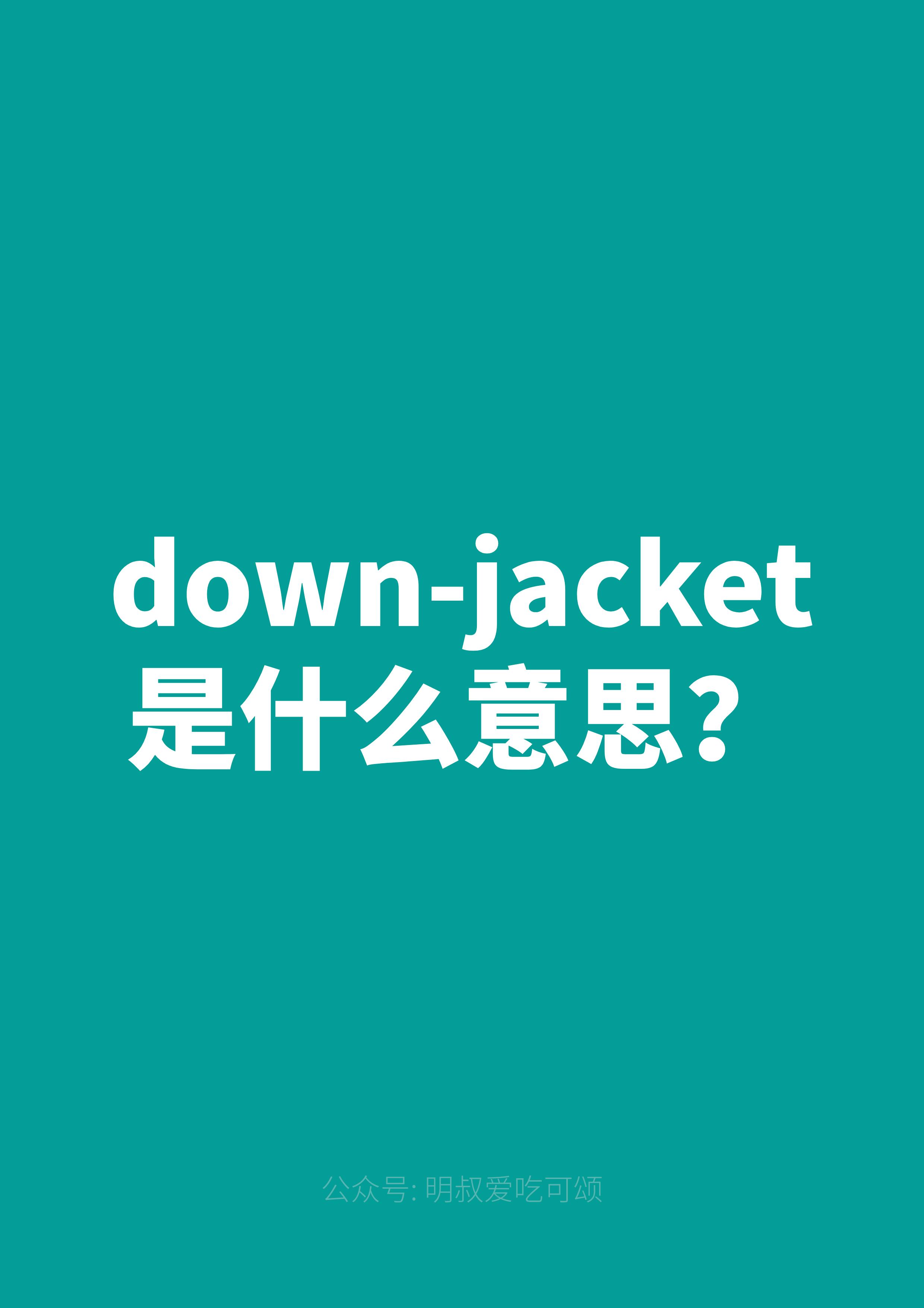 明啊 的想法: down-jacket 是什么意思?