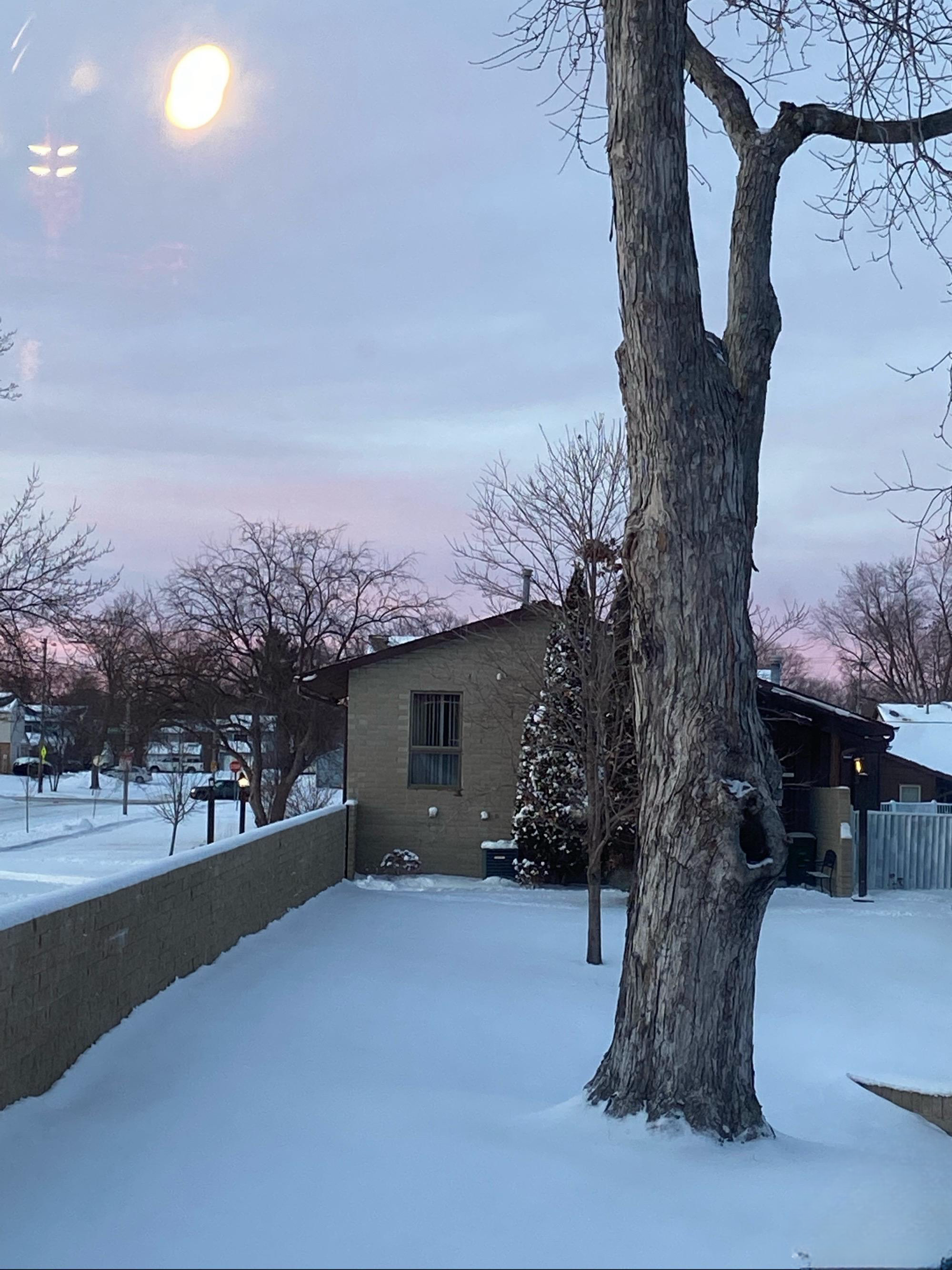 似兰斯馨 的想法: 黄昏下的雪景