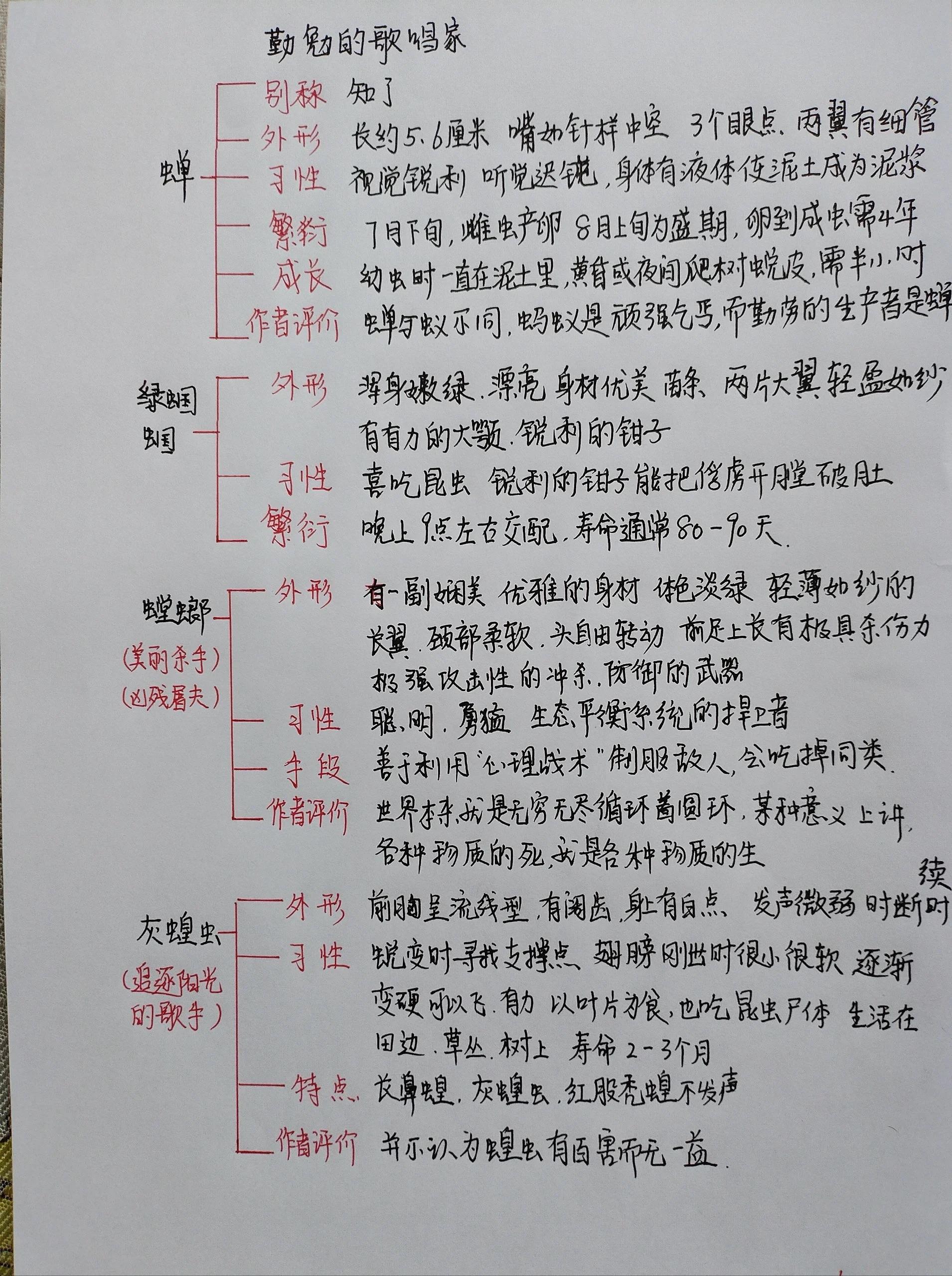 一鸣惊人思维导图图片图片