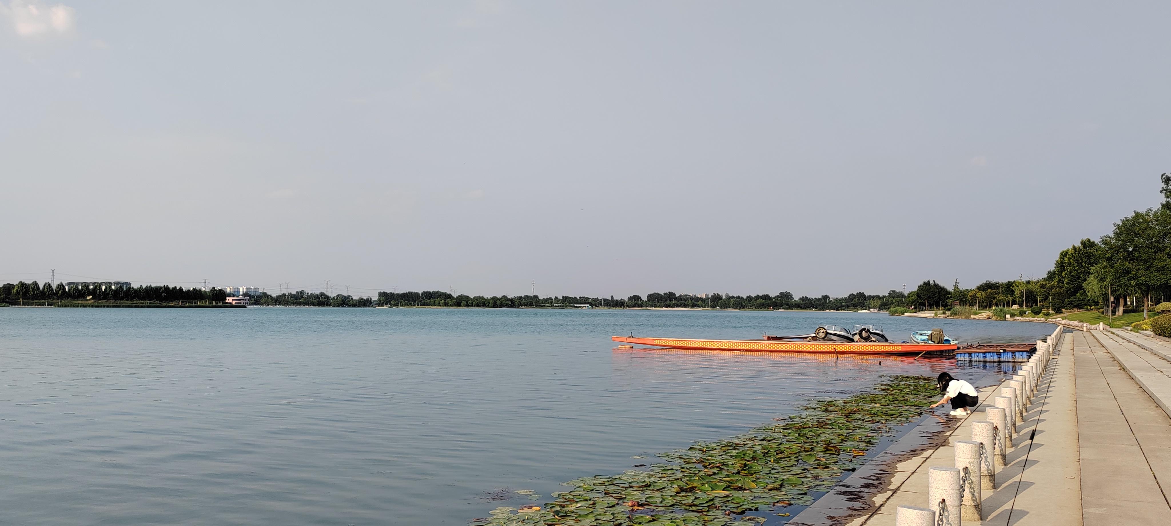 无未及县 的想法: 濮阳东湖 | 虽然是人工挖掘的湖泊,但如此开阔,都有