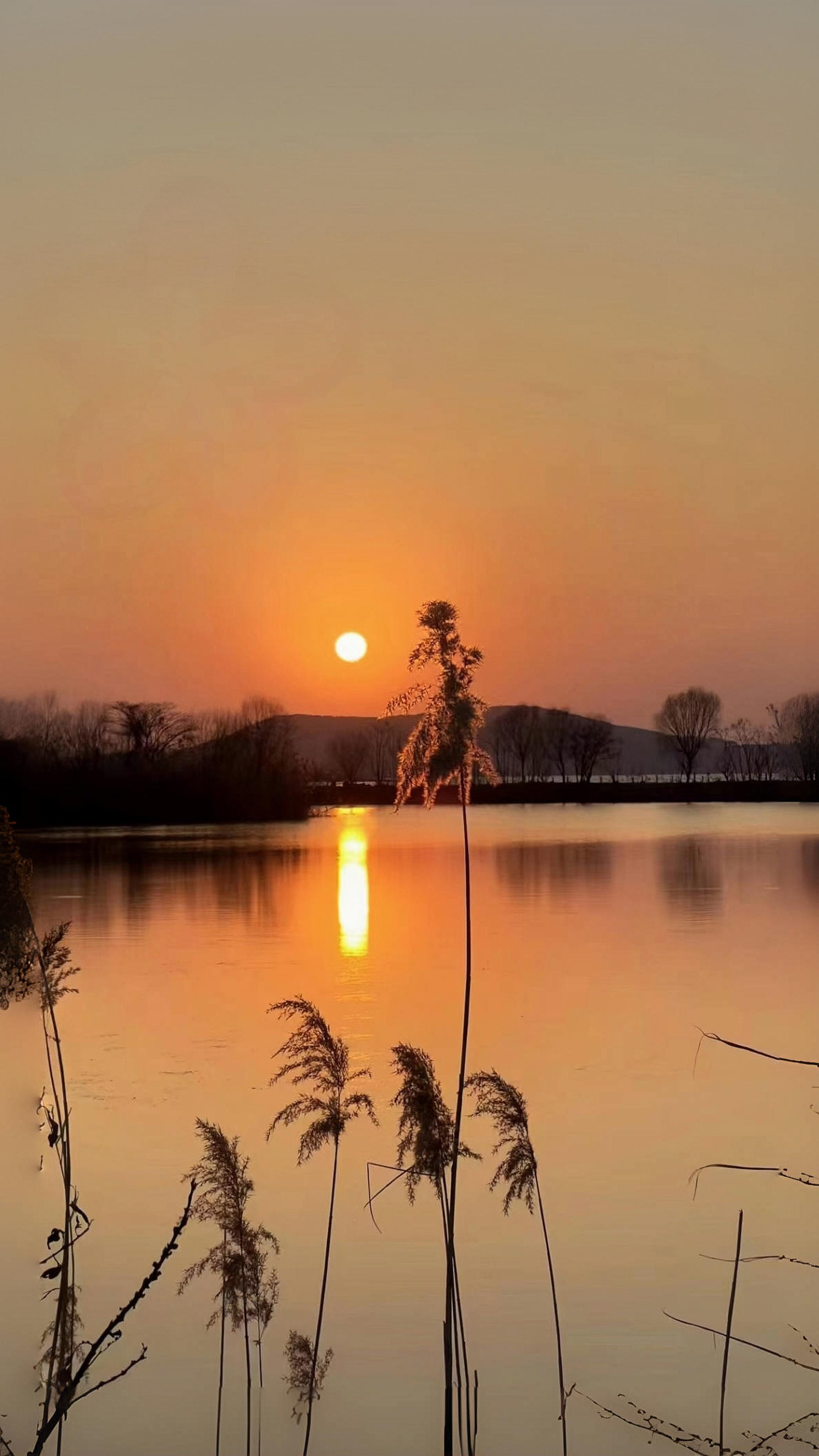 微光 的想法: 守住本心,信步前行.