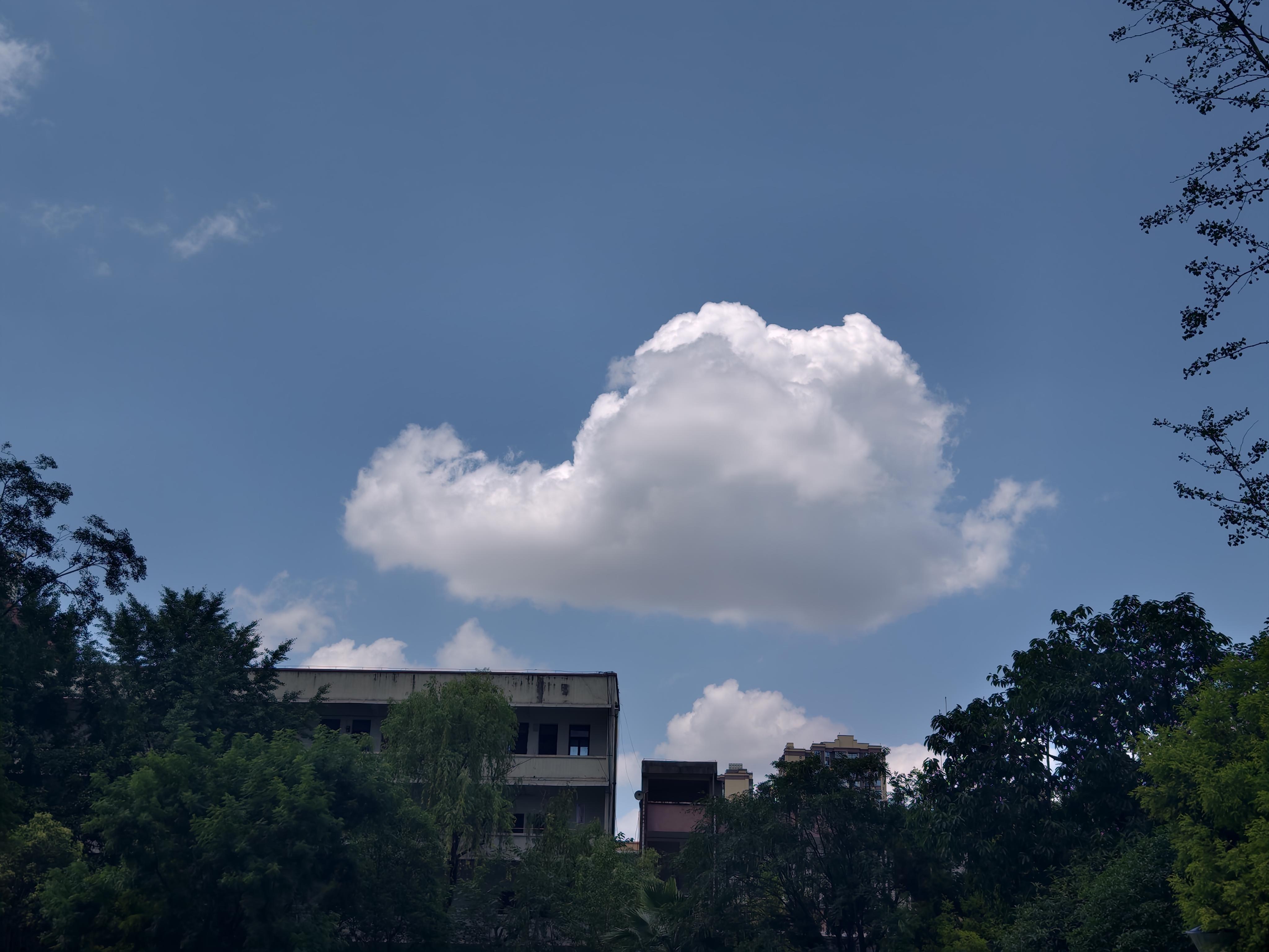 mnsjsjsk 的想法: 小鲸鱼云朵