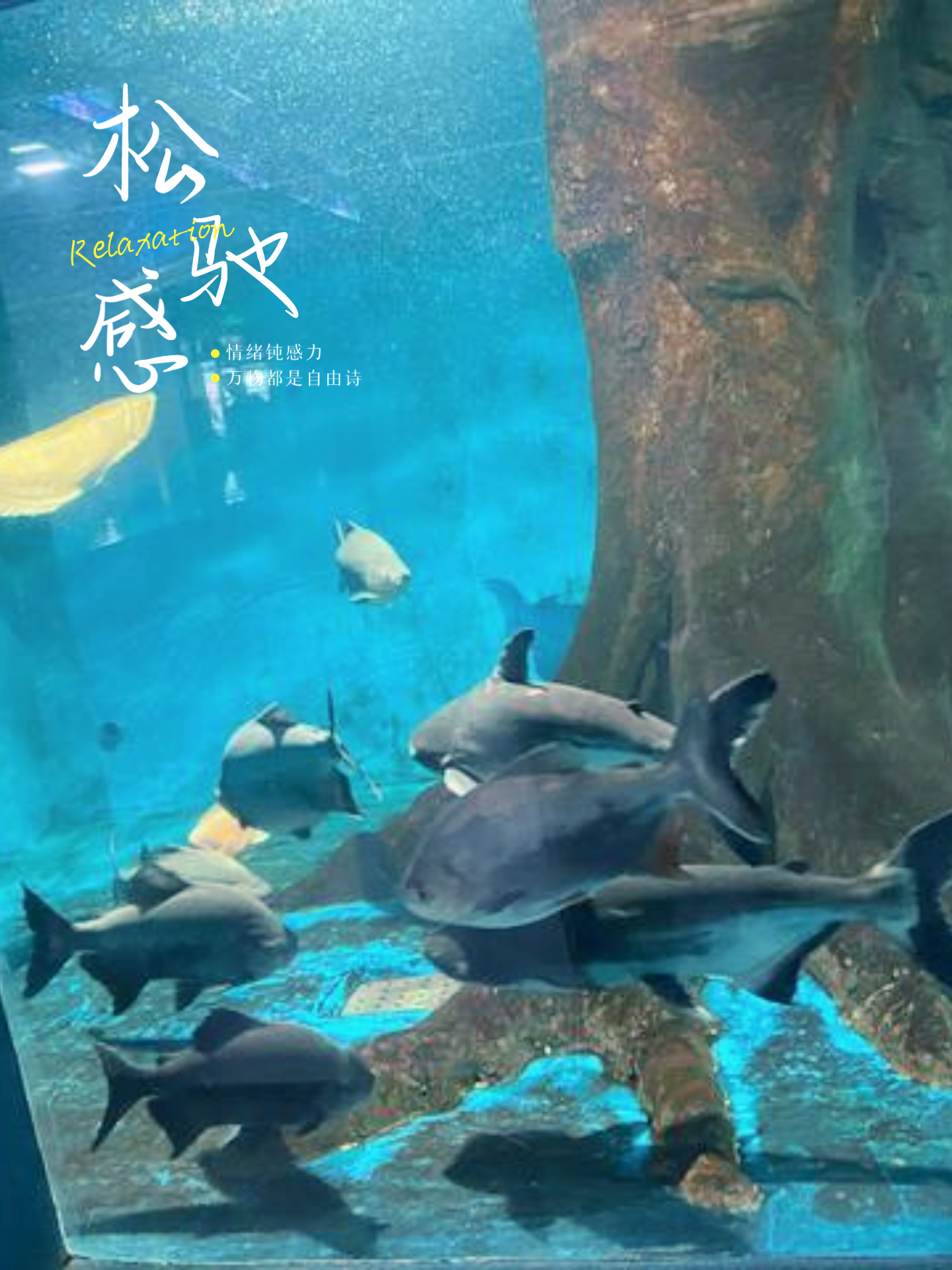 生活小达人 的想法: 去西宁野生动物园海洋馆