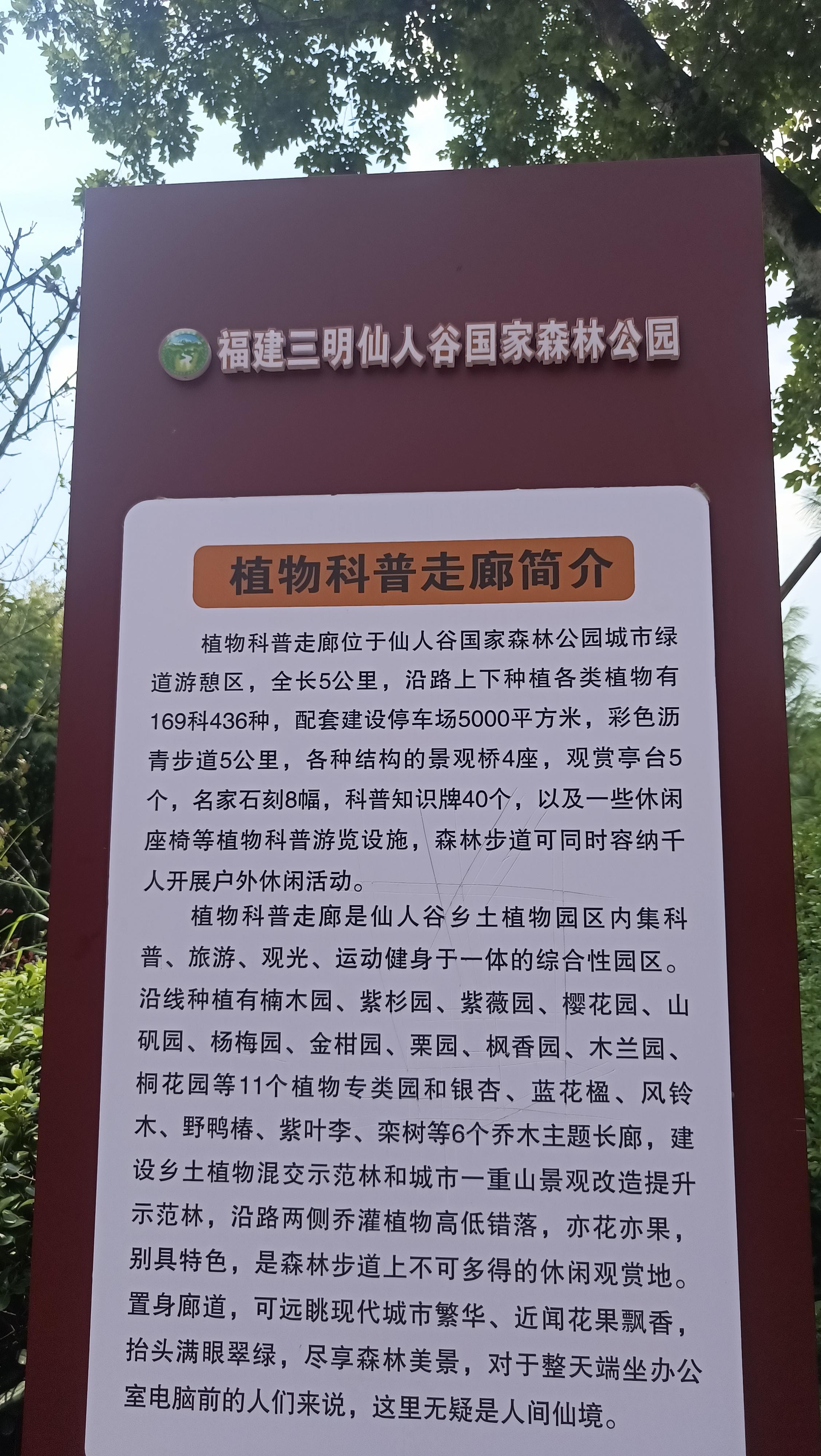 三明仙人谷图片