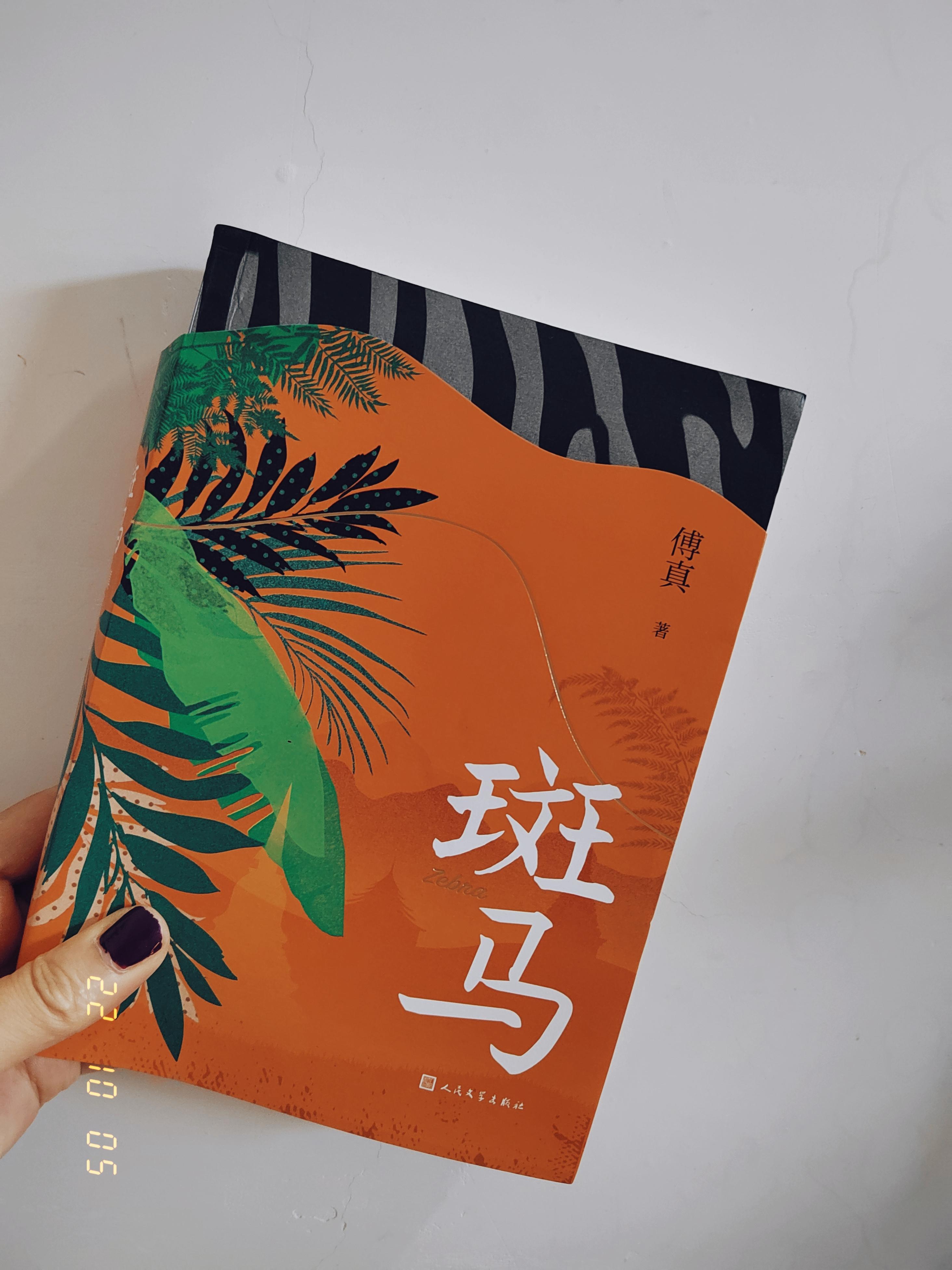 syeri 的想法: 傅真作品《斑马》,一场充满泰式风情的治愈之旅.