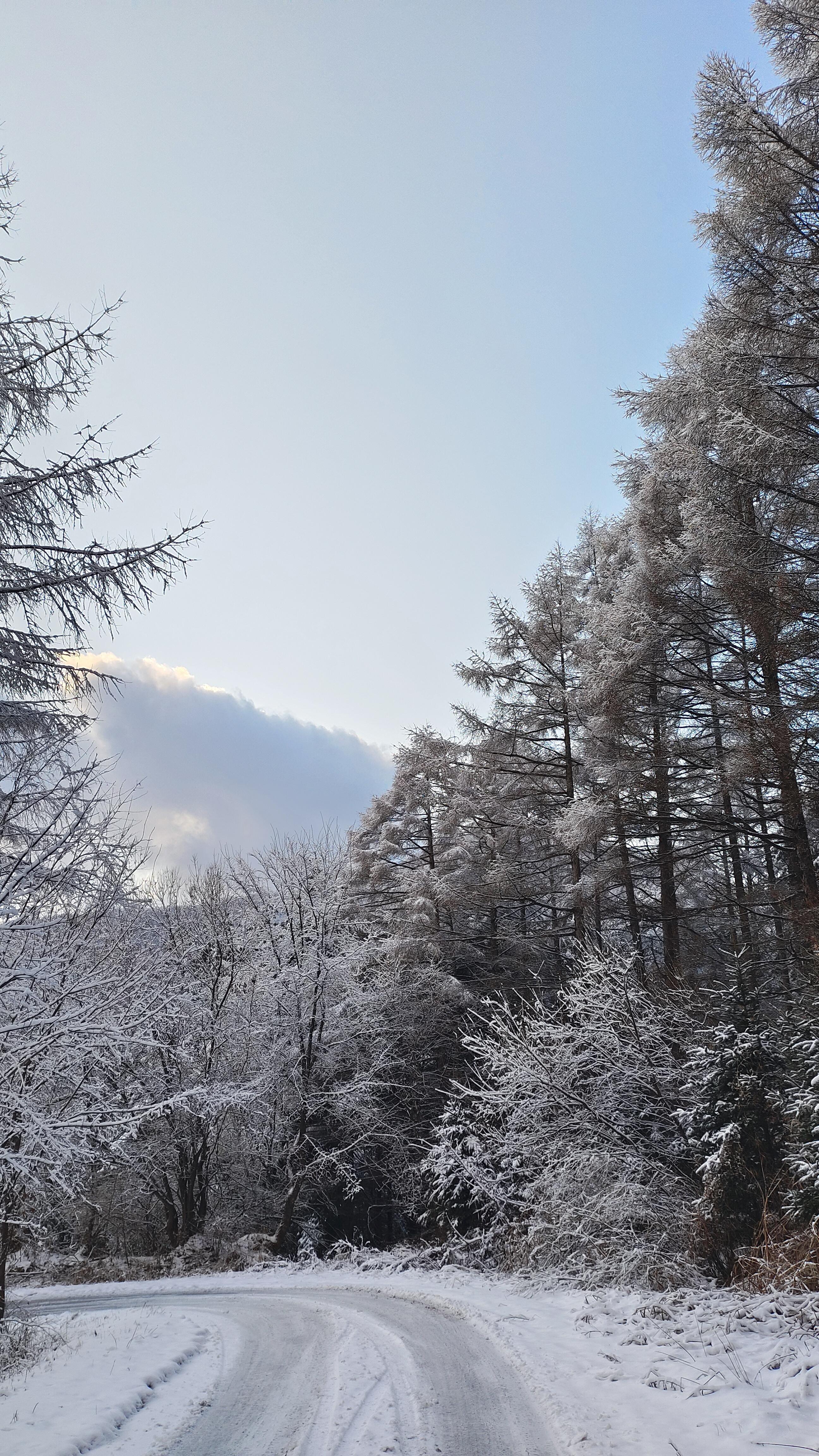 的想法: 雪后爬山,别有一番风味 | 98地点:辽宁省抚顺市新宾满族