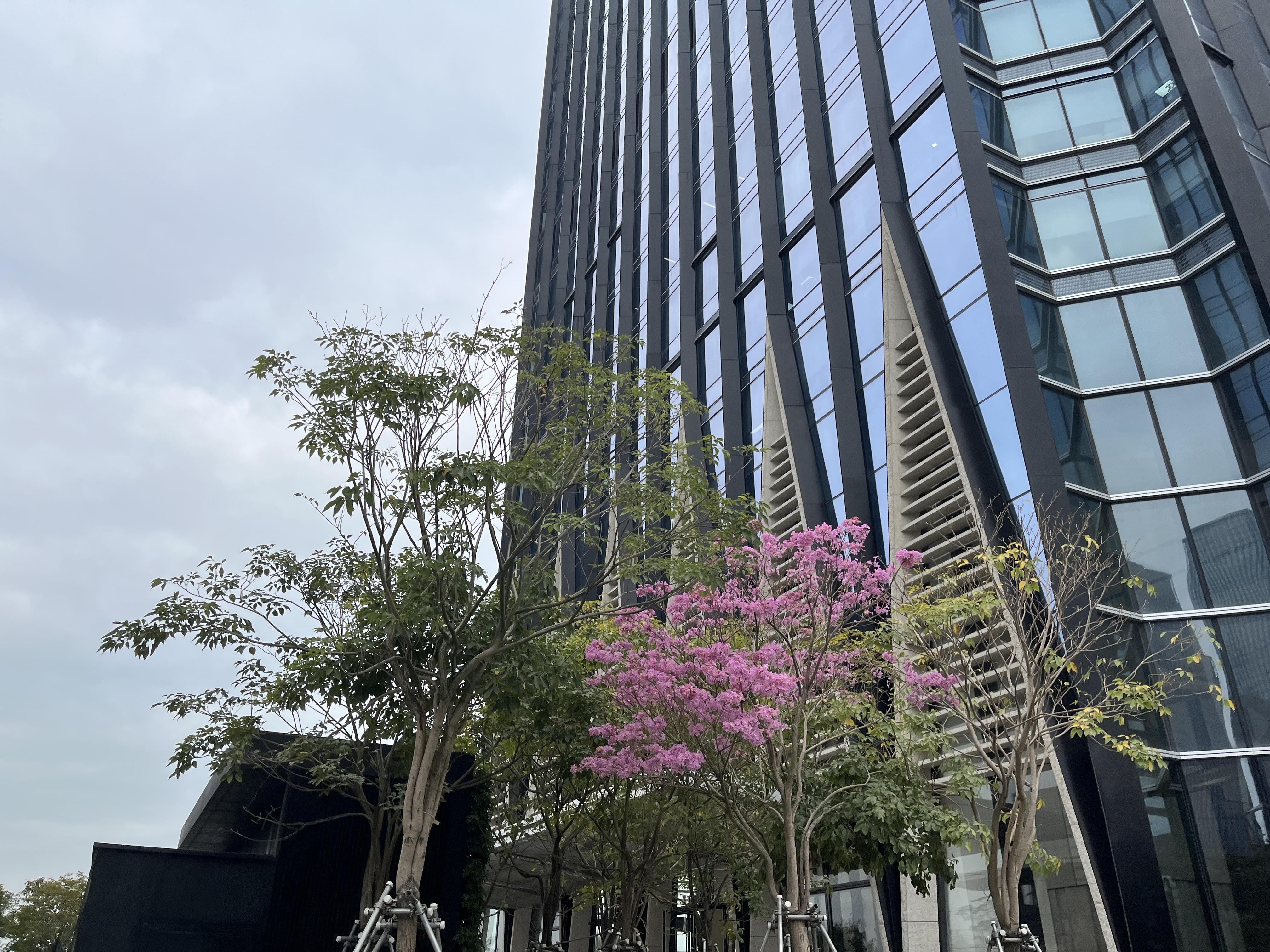 哈哈 的想法: 人性和人生