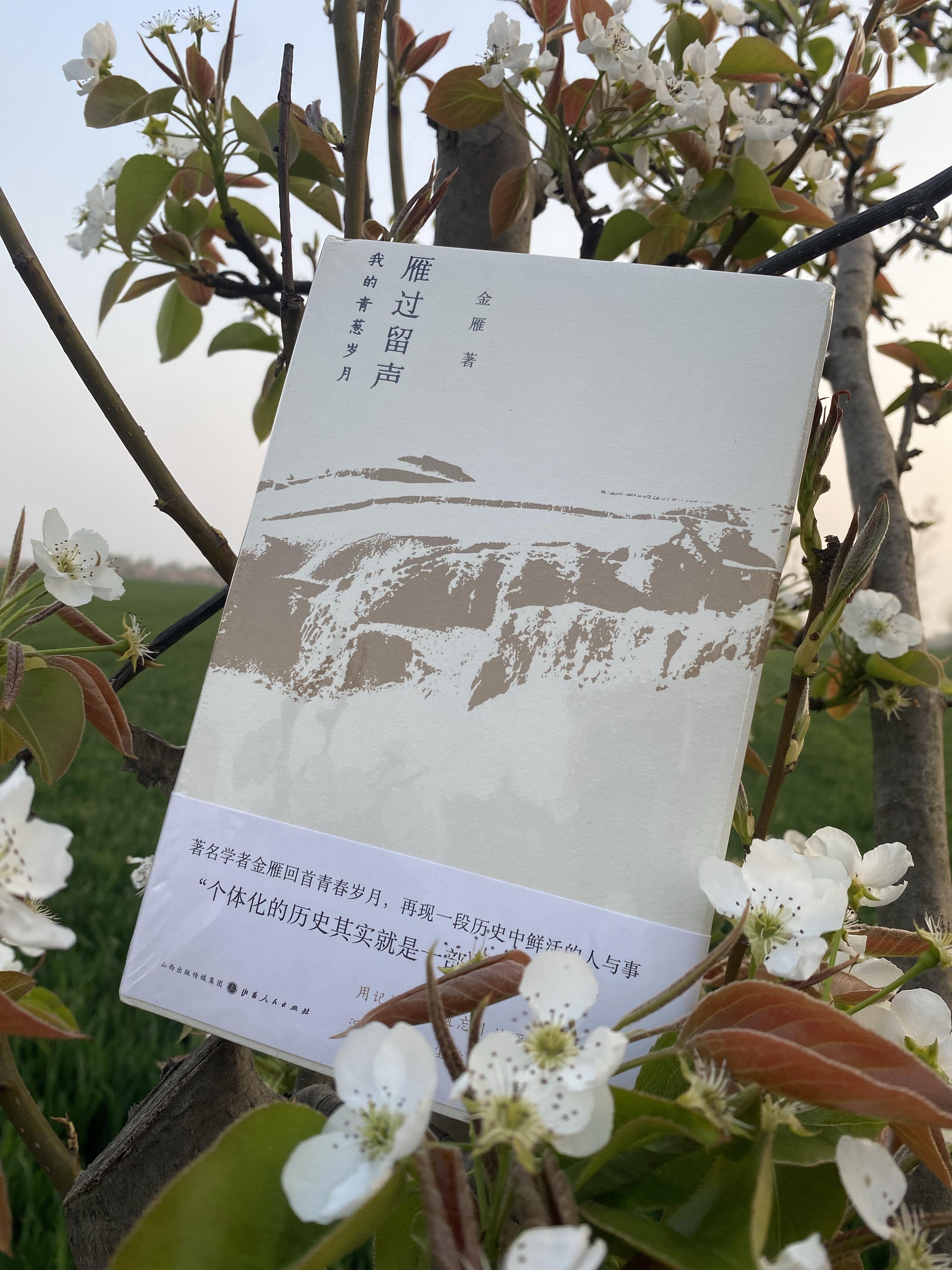 雁过留声完整(雁过留声capwu)