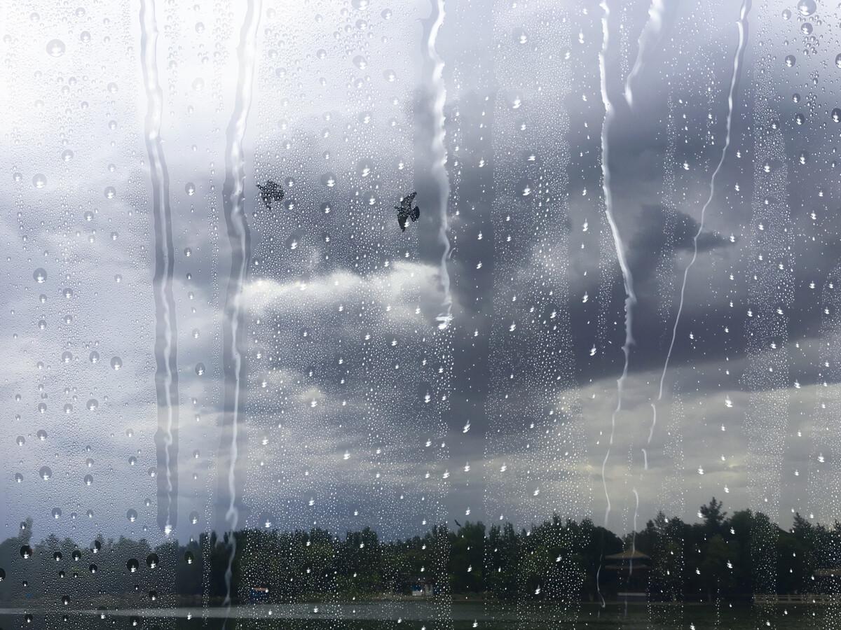 为了公司利益刚跟客户吵完架,看着他摔门而出走进大雨远去的身影