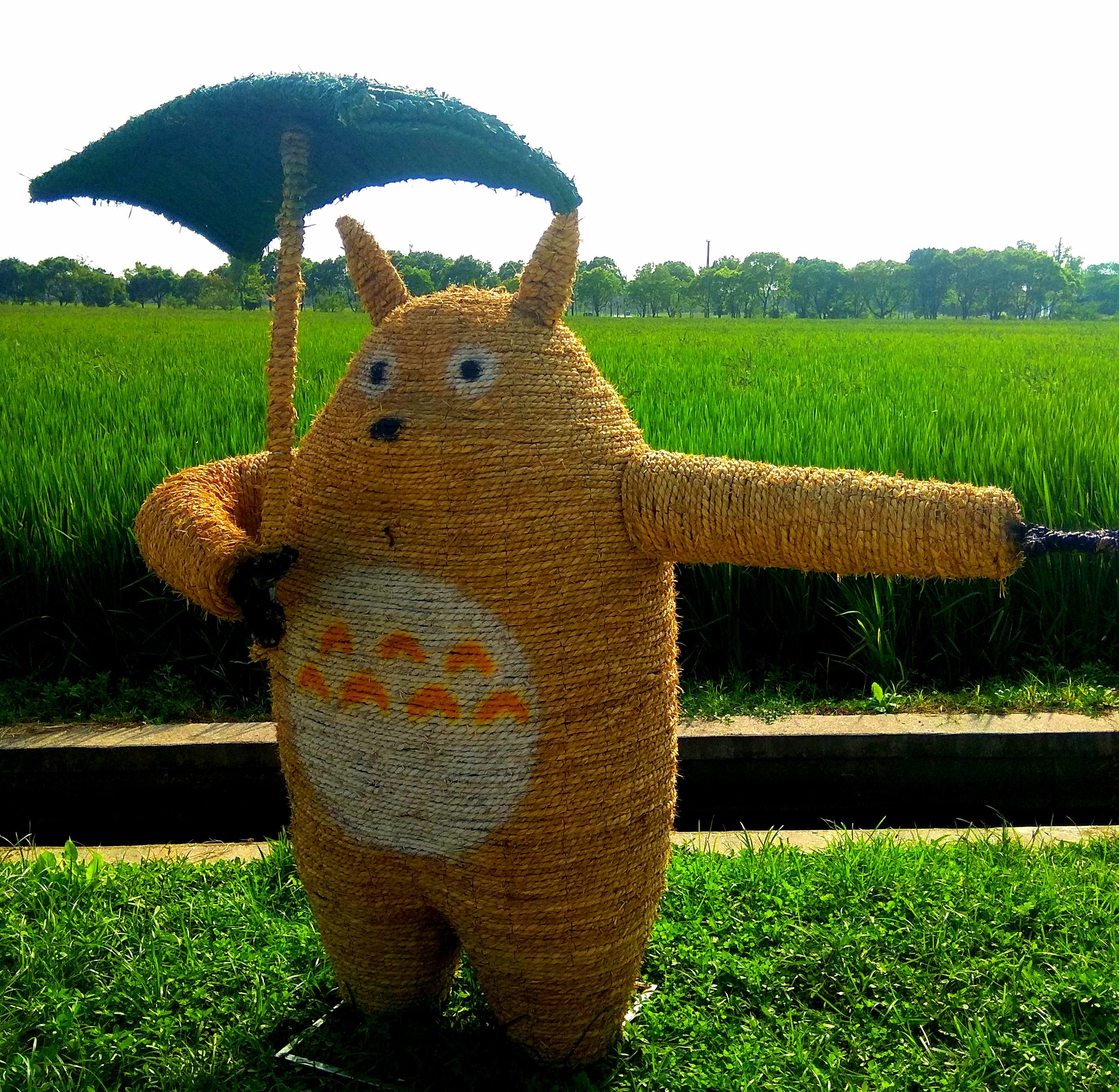 红尘深处有初心 的想法: 有朋自郊野来 | 一直喜欢的龙猫居然以稻草人