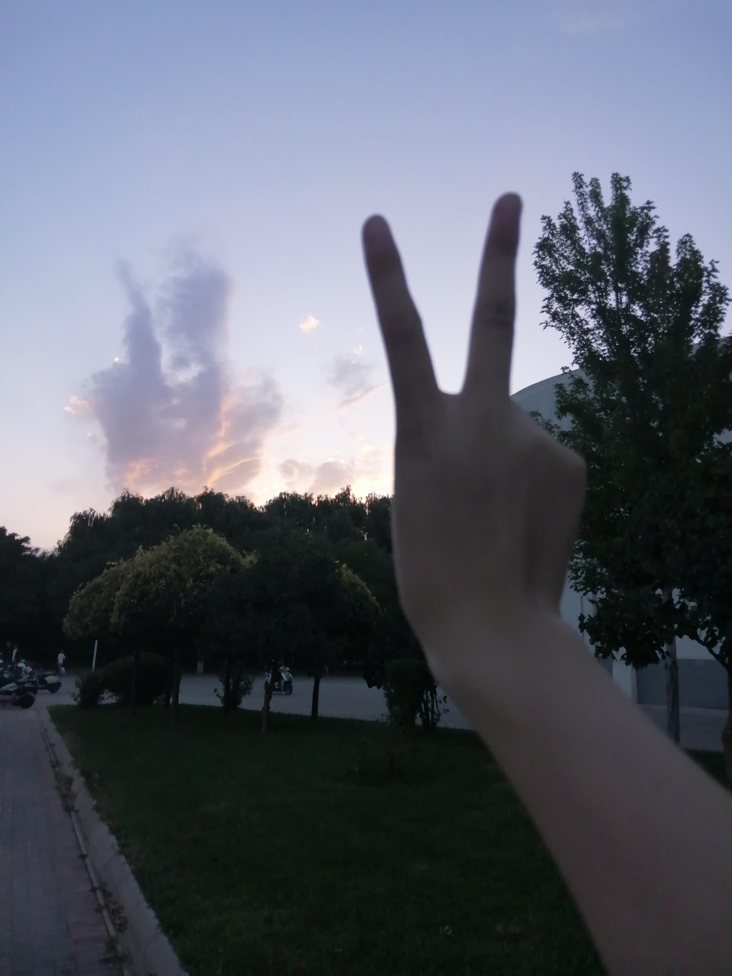 92 拍摄装备:我的破手机 br>95 拍摄技巧:朦胧的美感?