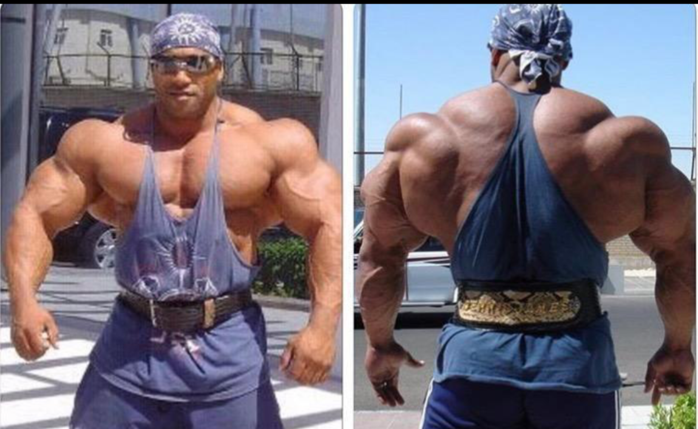 铁友 的想法: 健美冠军:丹尼斯·詹姆斯 | 丹尼斯·詹姆斯,1966年5月