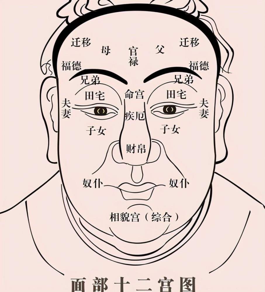 小白与数术 的想法  看看自己是不是女强人的面相