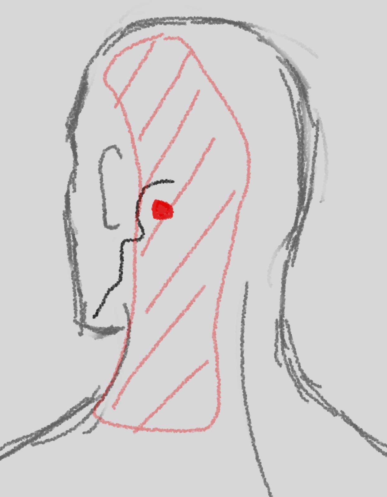 这个部位西医叫什么?!