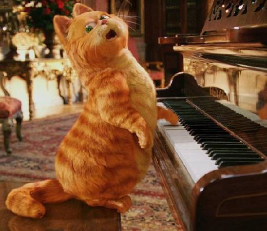 哪些明星是大脸美女?你身边哪些人是大脸美女?注意是大脸,不是伪大脸!