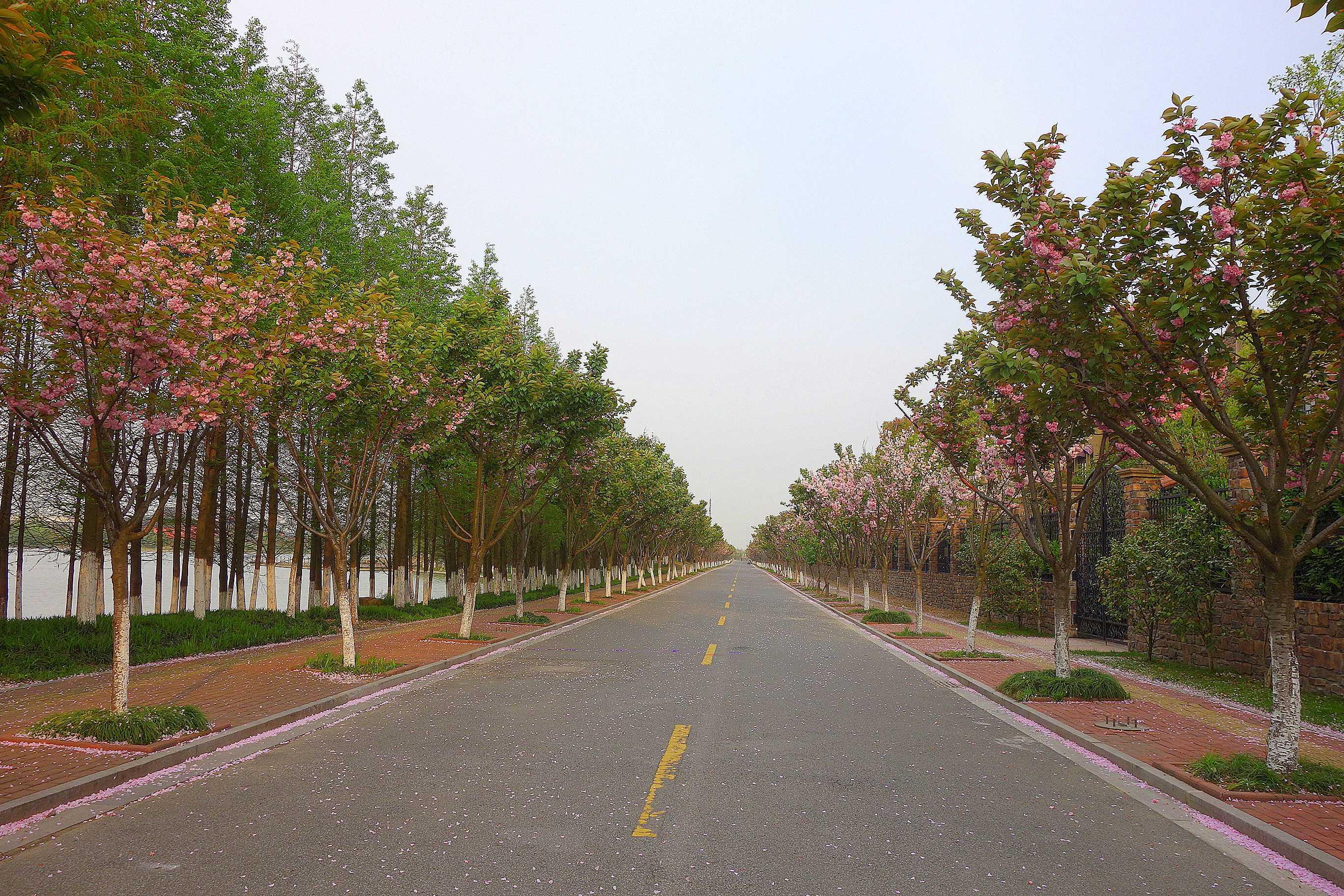 想要定居苏州工业园区,合适吗? - 苏州 - 知乎