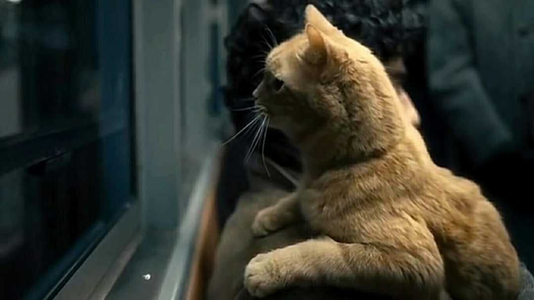 有哪些冬天听起来会觉得温暖的歌?