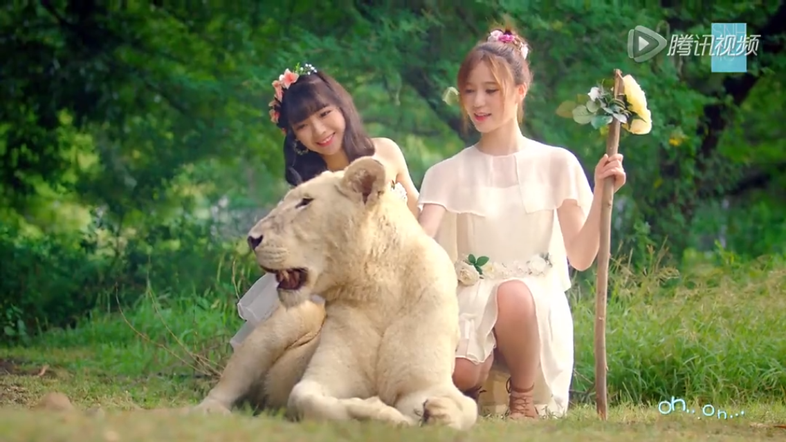 如何评价 snh48 的 mv《梦想岛》?