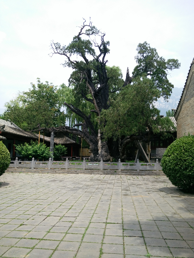 河南值得去旅游的地方都有哪里? - ikuta 的回答