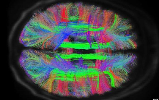 可以有几个意识体?