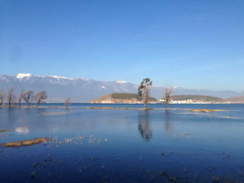 大理古城这边哪里住宿能领略到洱海的美景!请