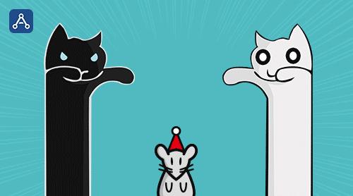 A B 不管黑猫白猫 抓到老鼠就是好猫 知乎