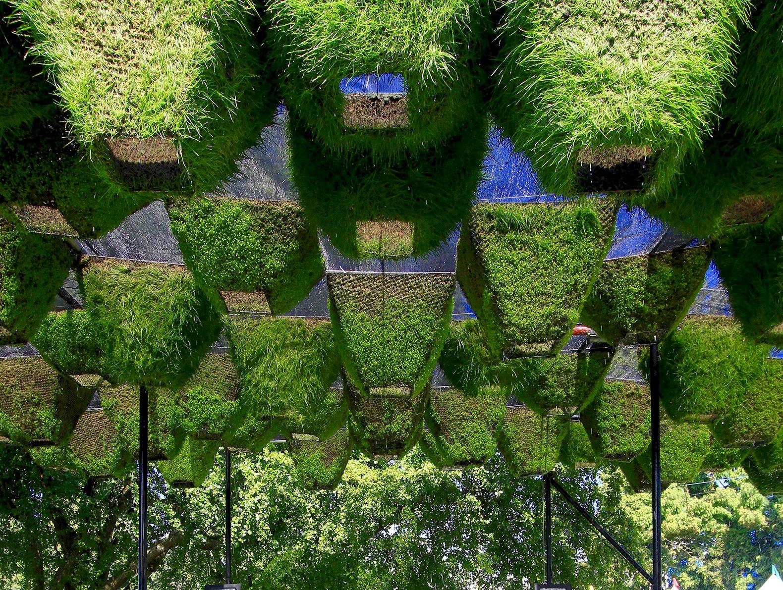 绿植艺术从世界各地到太空