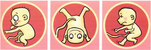 胎动vs宫缩 你可能不了解却必须要知道的2件事 知乎