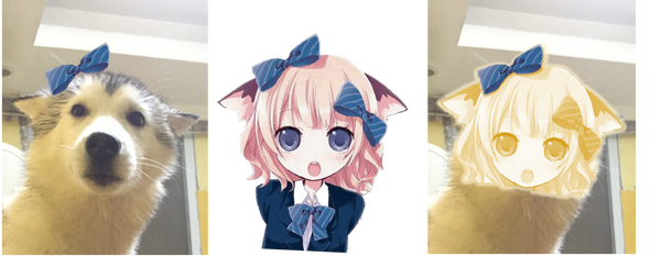 养只哈士奇是什么感受?