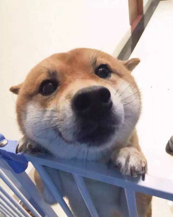 男方父母全款购置,全款装修家电家具并登记在