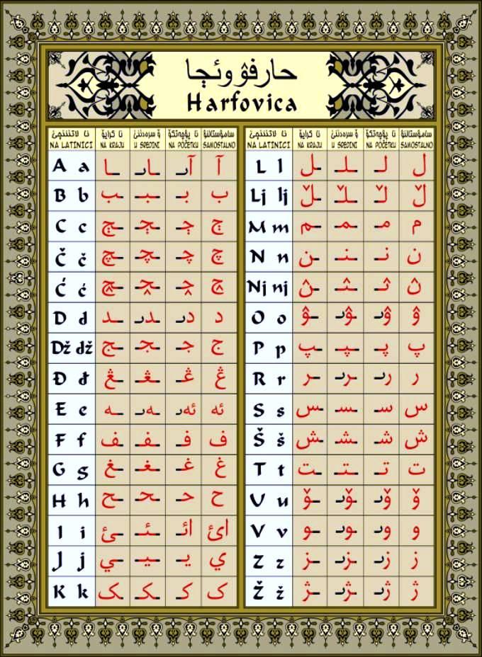 历史上阿尔巴尼亚语、波斯尼亚语是否曾采用过