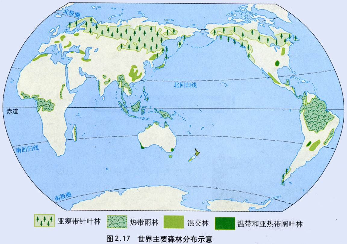 世界雨林分布图