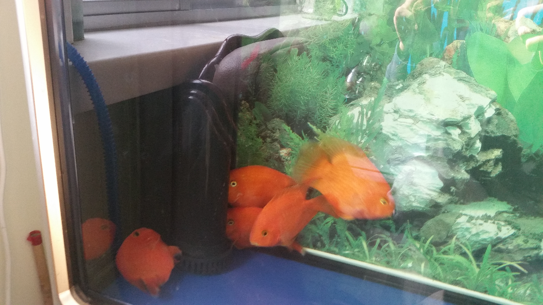 有没有学广播电视编导的朋友考上了公务员?现