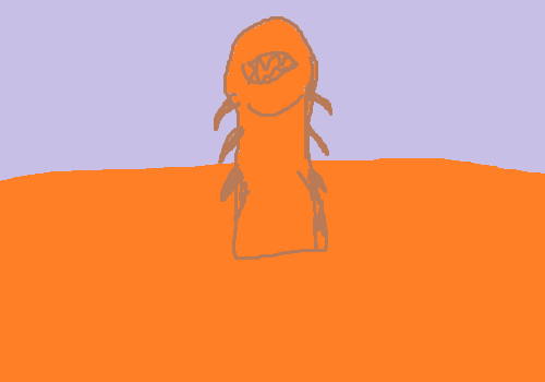 过MC、BWL、NAXX是怎样的体验?各职业都